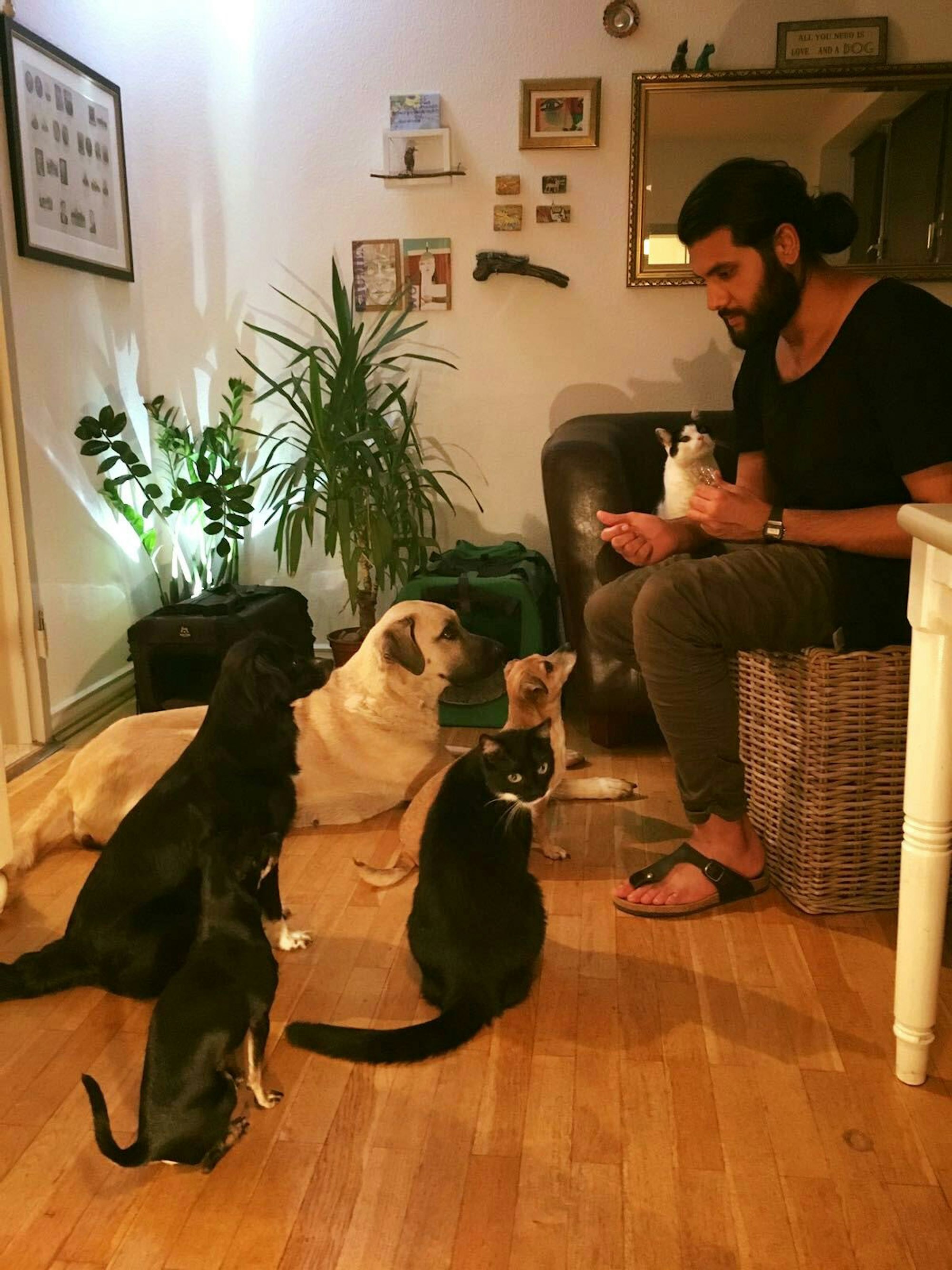 01SOKP37_71-111456976_ori