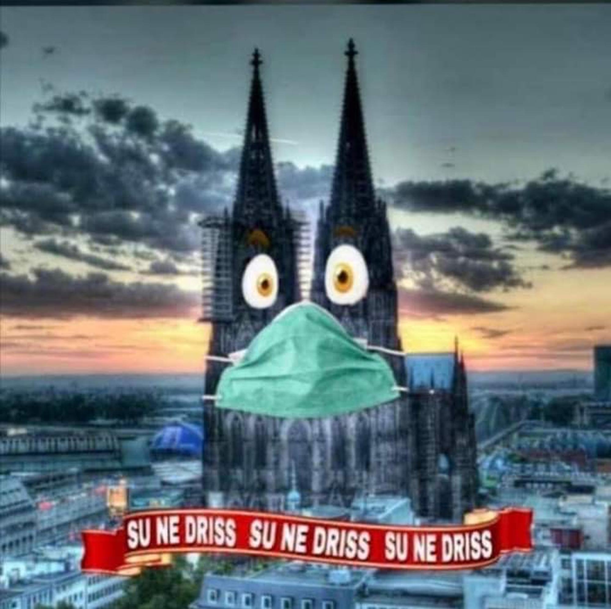 Neuer Inhalt (6)