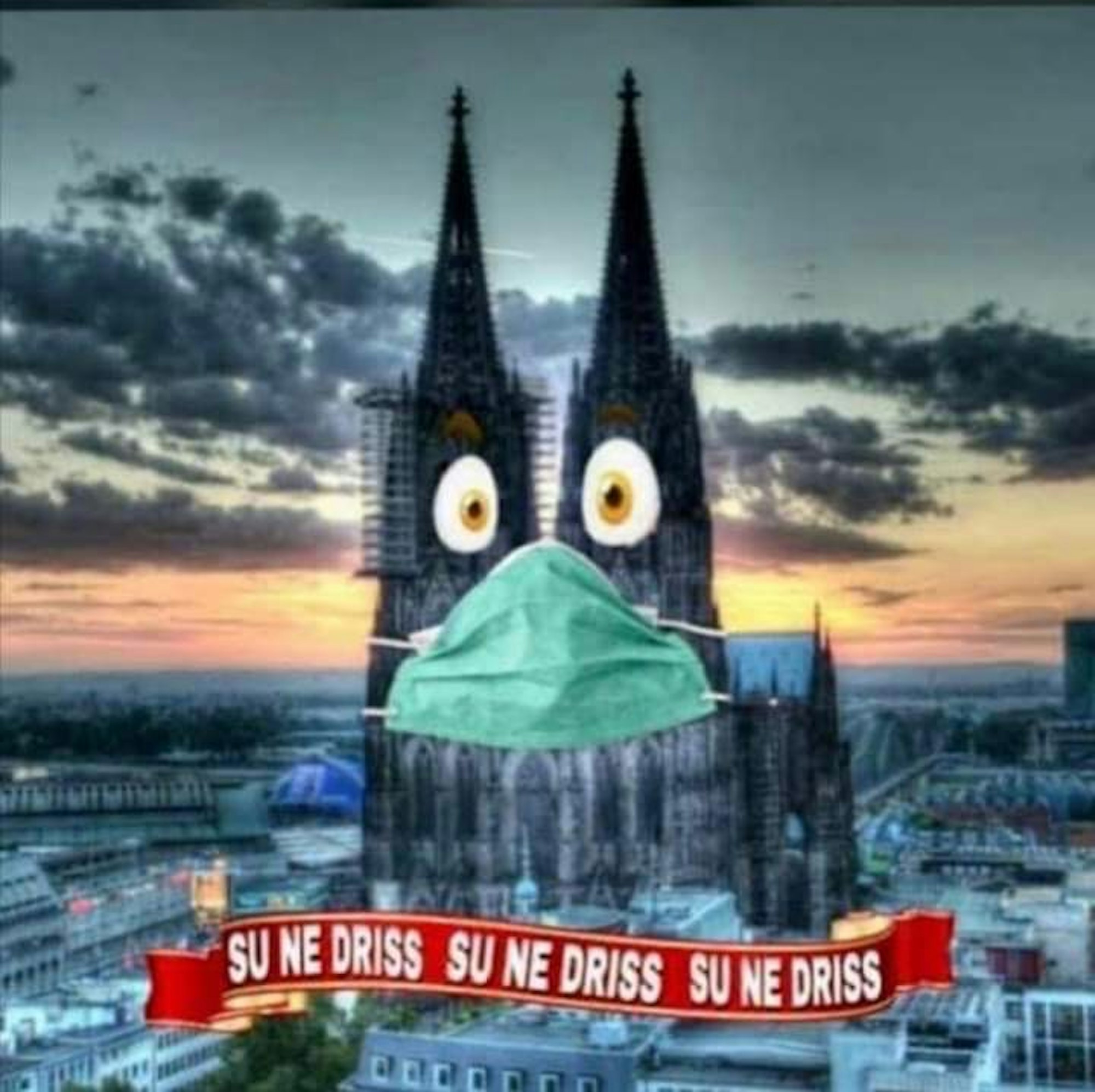 Neuer Inhalt (6)