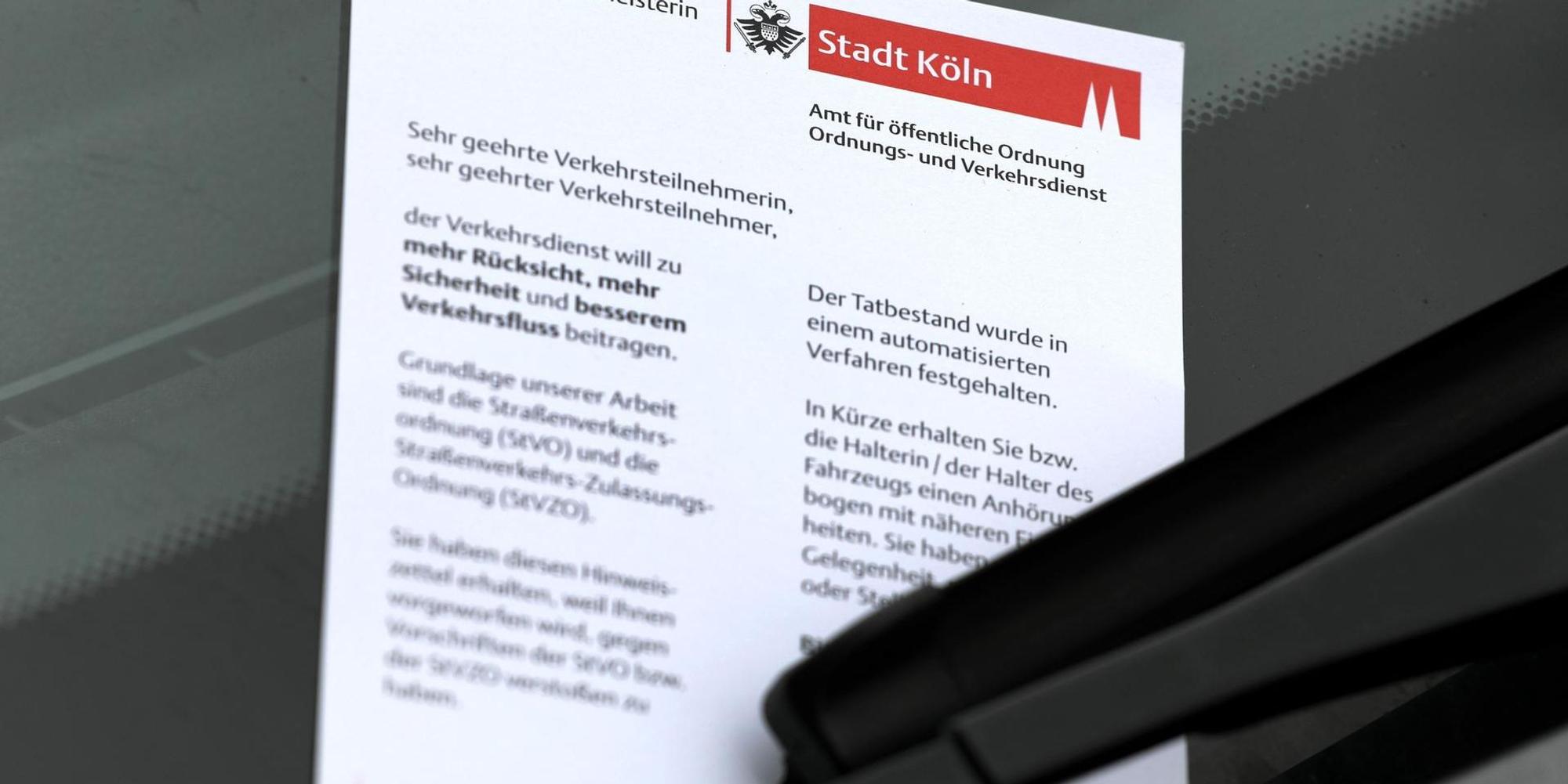 Neuer Inhalt (6)