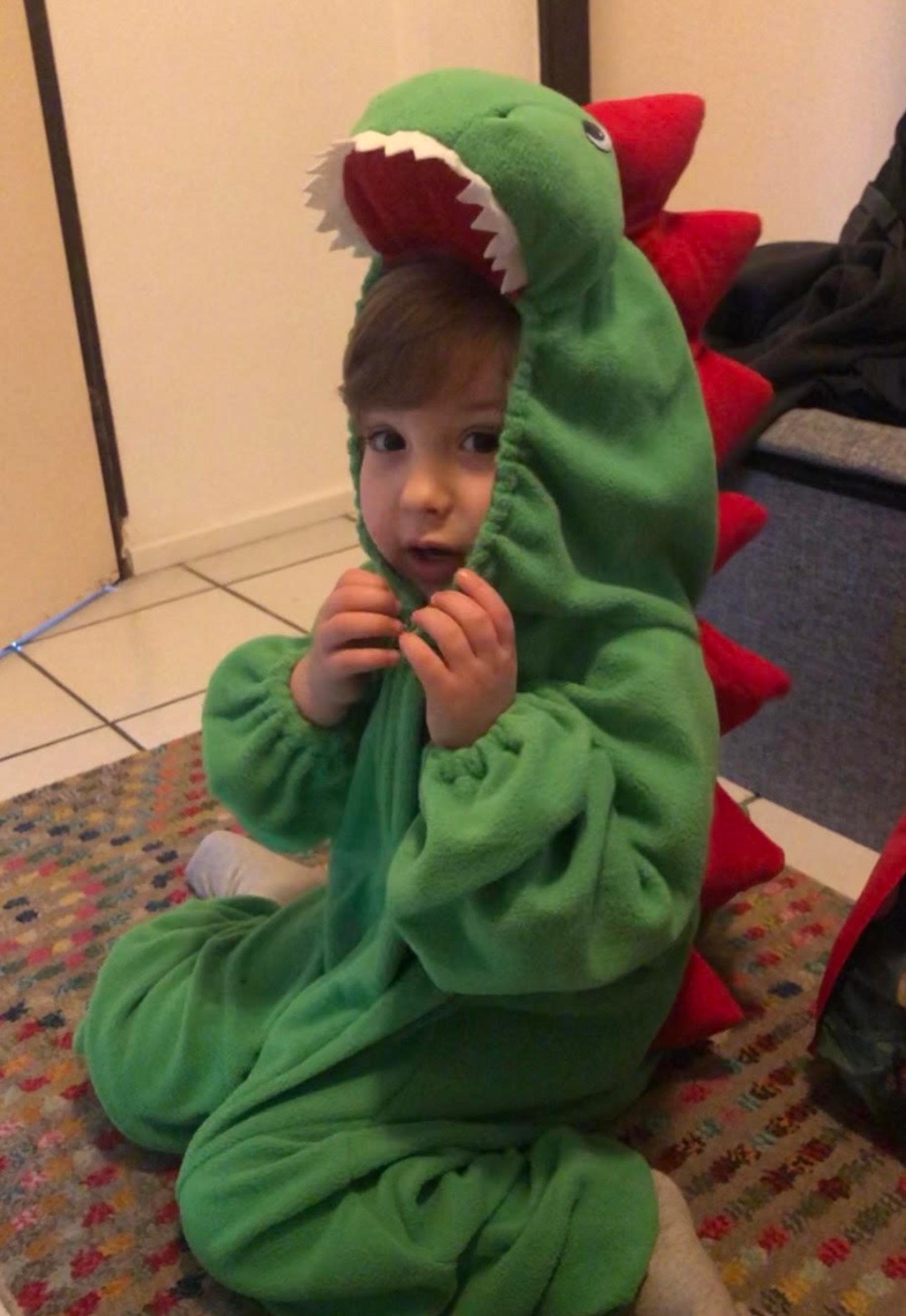 Mads_Dino_08_05_2020