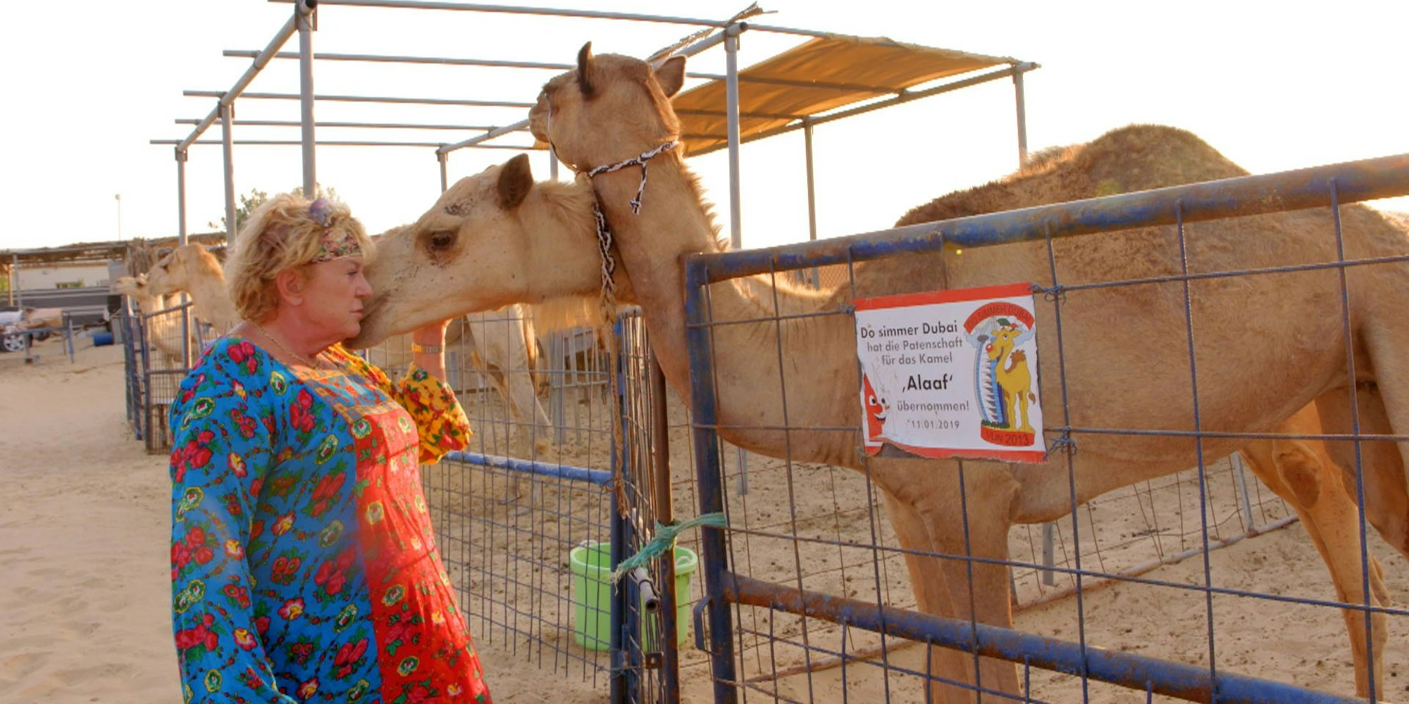 GBD_1801_UrsulaMusch