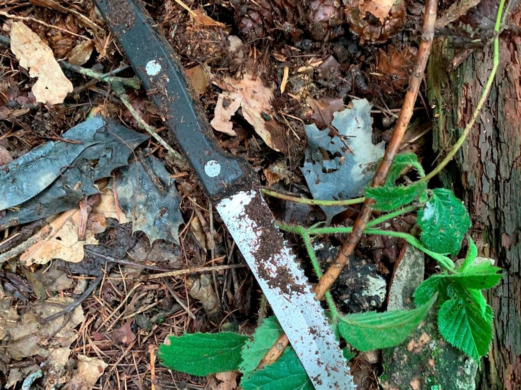 Messer im Wäldchen bei der Peter Petersen-Grundschule in Köln-Porz