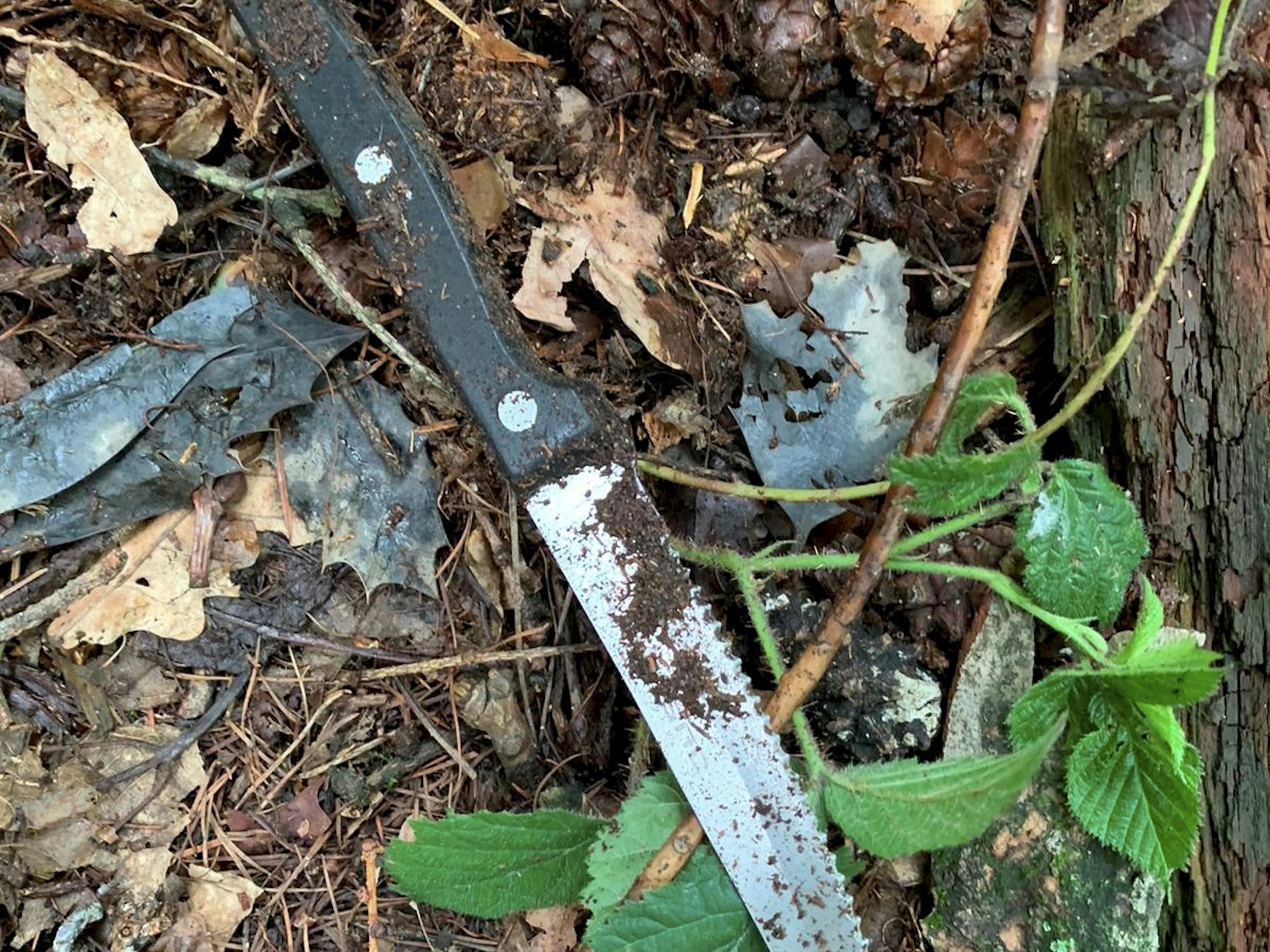 Messer im Wäldchen bei der Peter Petersen-Grundschule in Köln-Porz