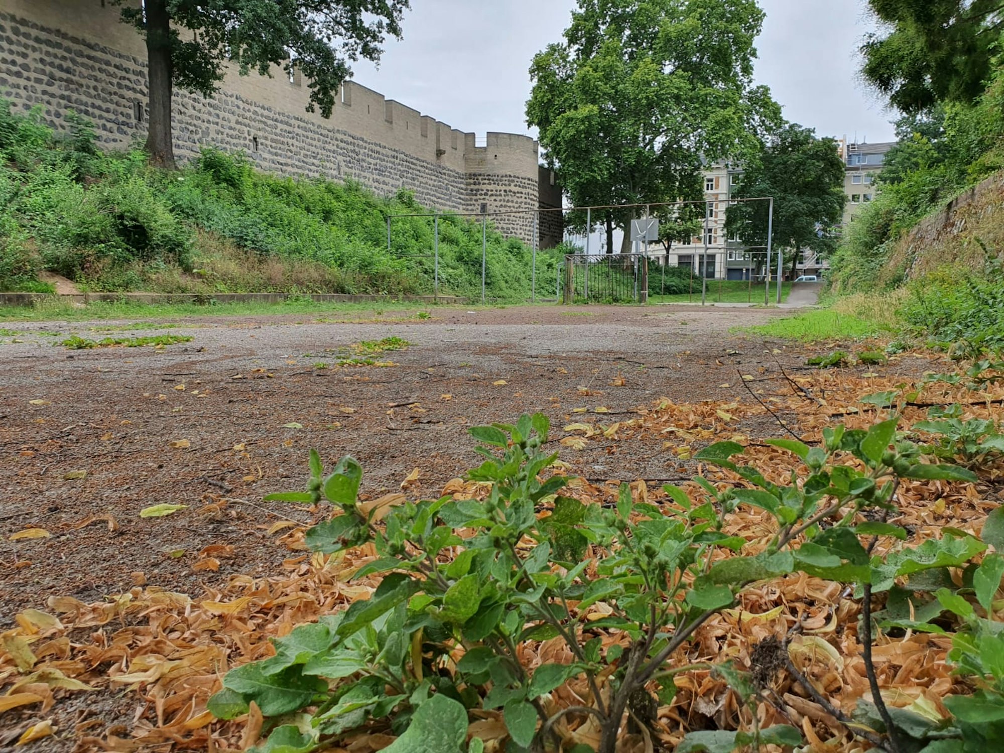 Neuer Inhalt (1)