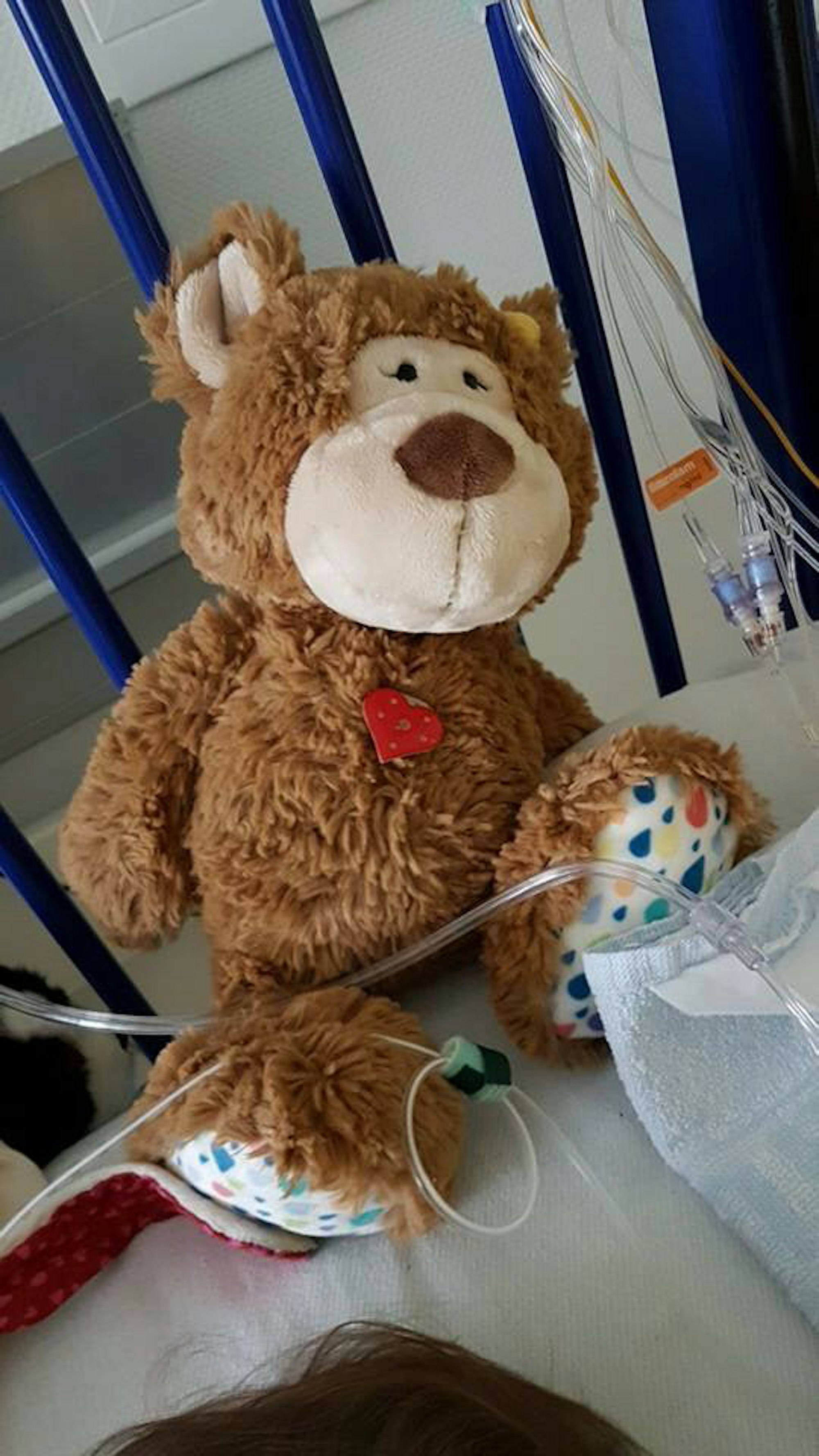 Niclas_Teddybär_180215
