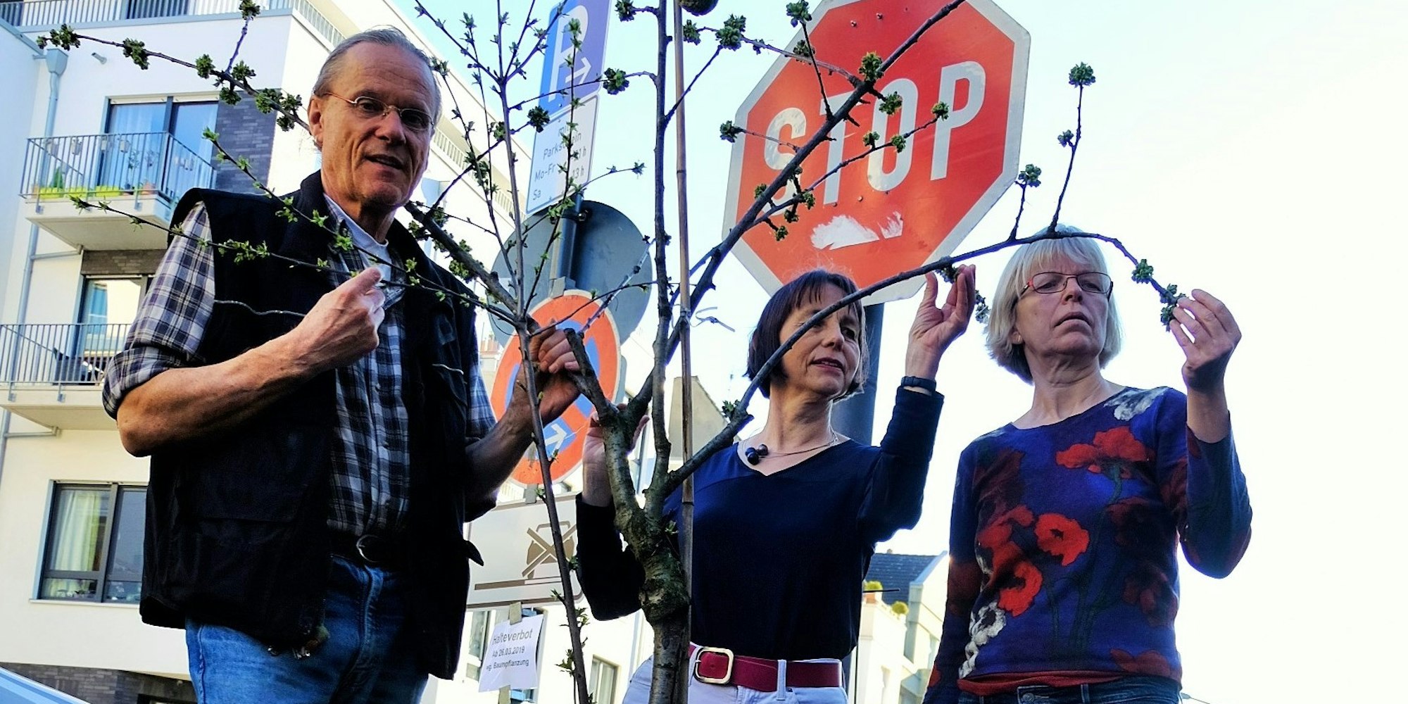 KirschbaumPalanterStraße (2)