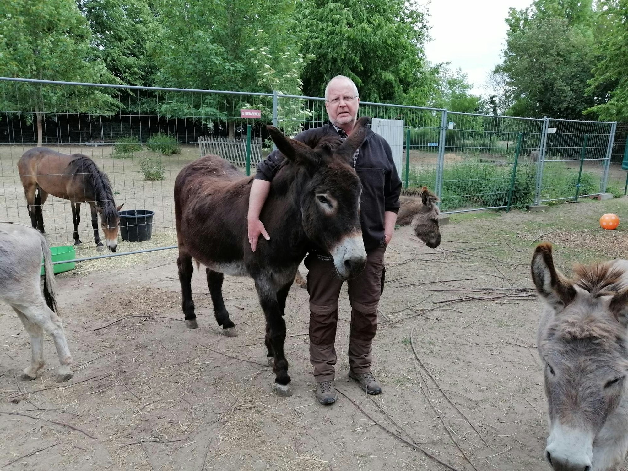 Neuer Inhalt (2)