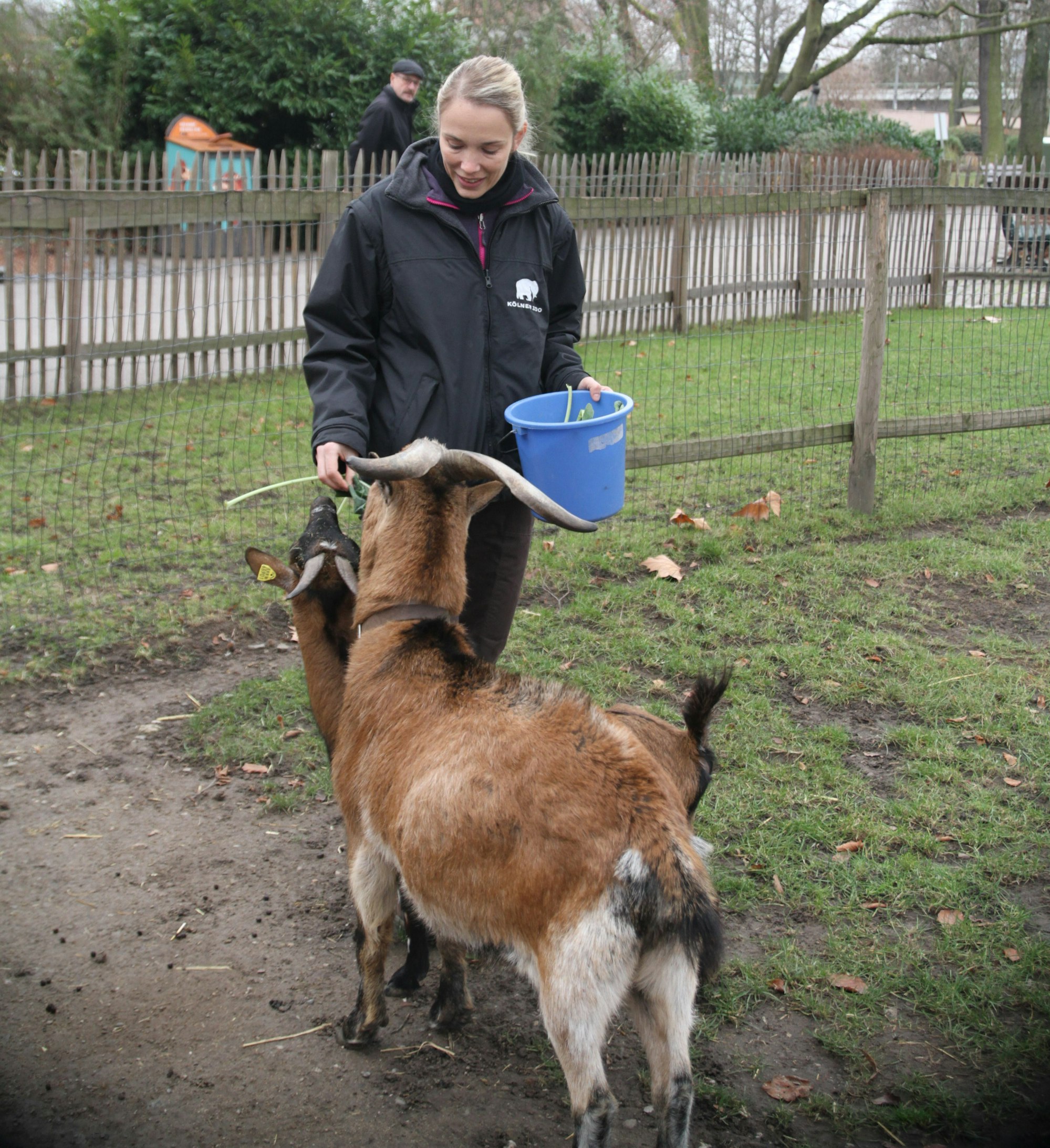 01K___32_71-109531960_ori