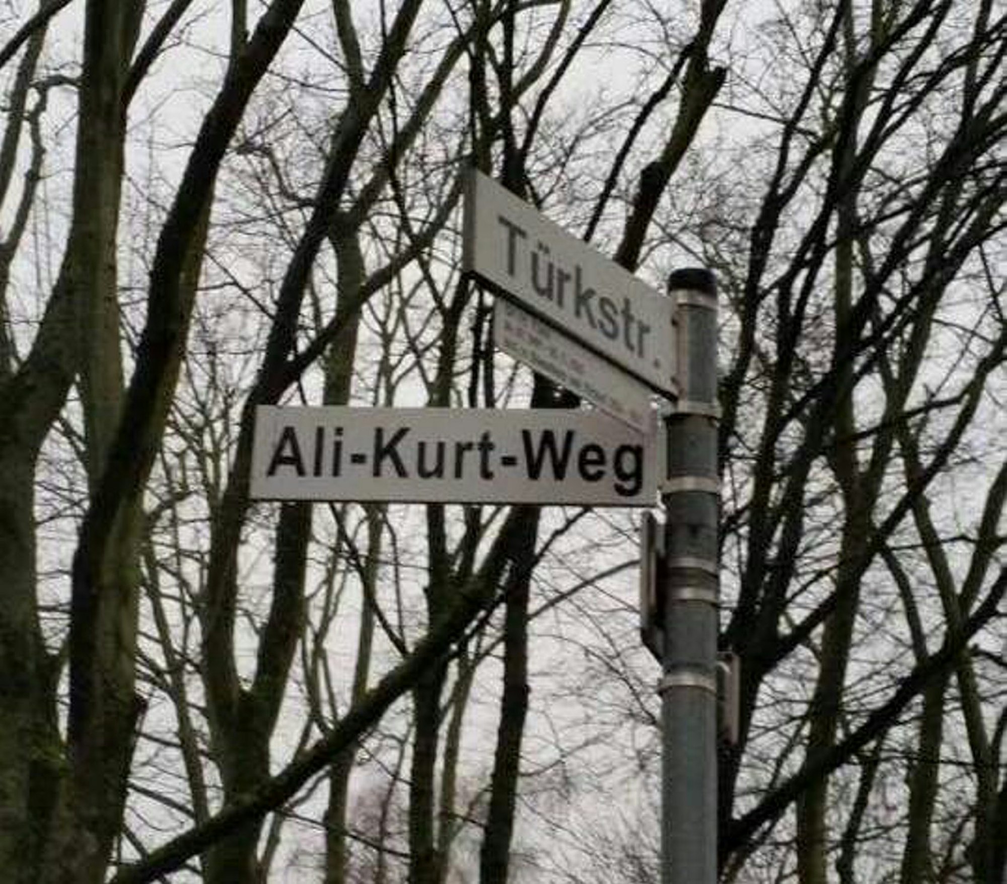 Ali-Kurt-Weg