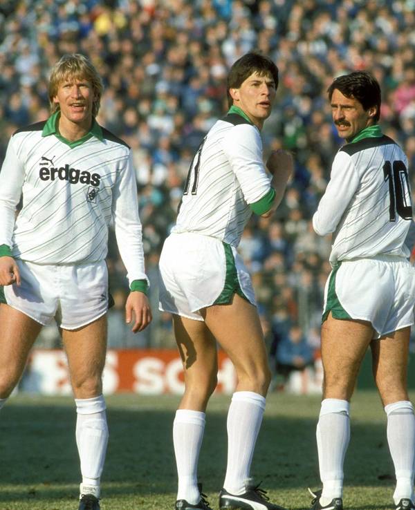 Fohlenheader