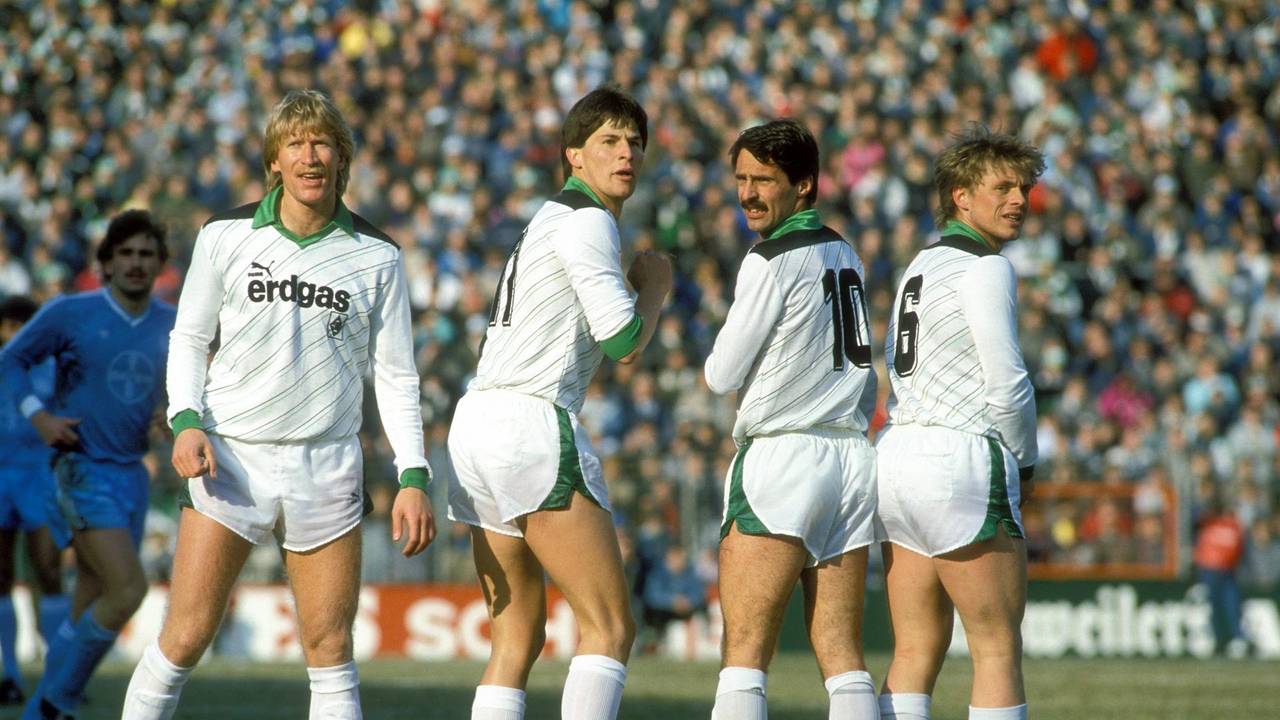 Fohlenheader