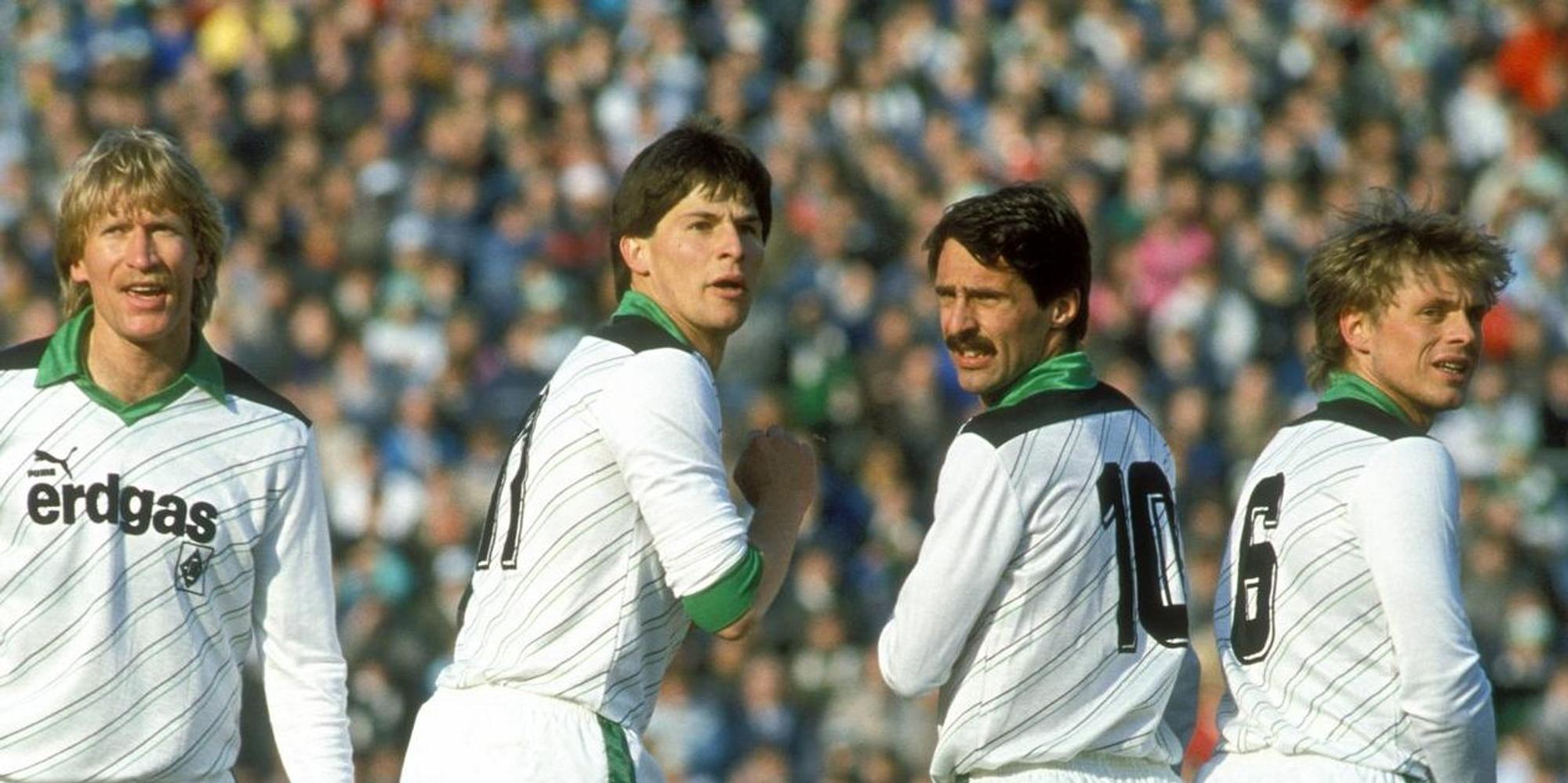 Fohlenheader