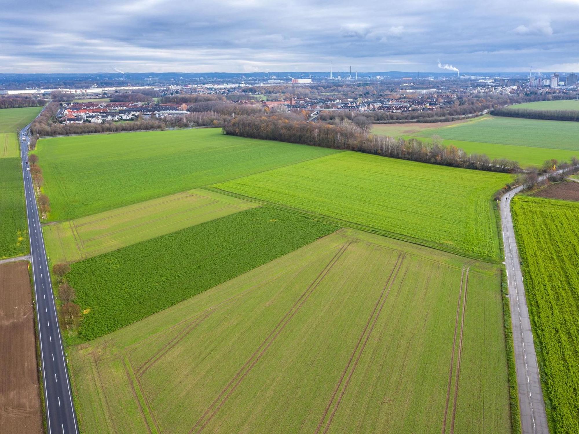Blick auf eine große Ackerfläche.