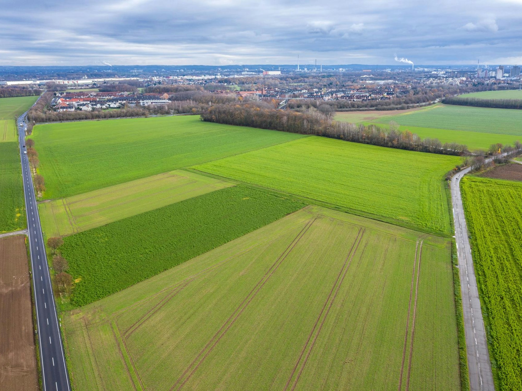Blick auf eine große Ackerfläche.