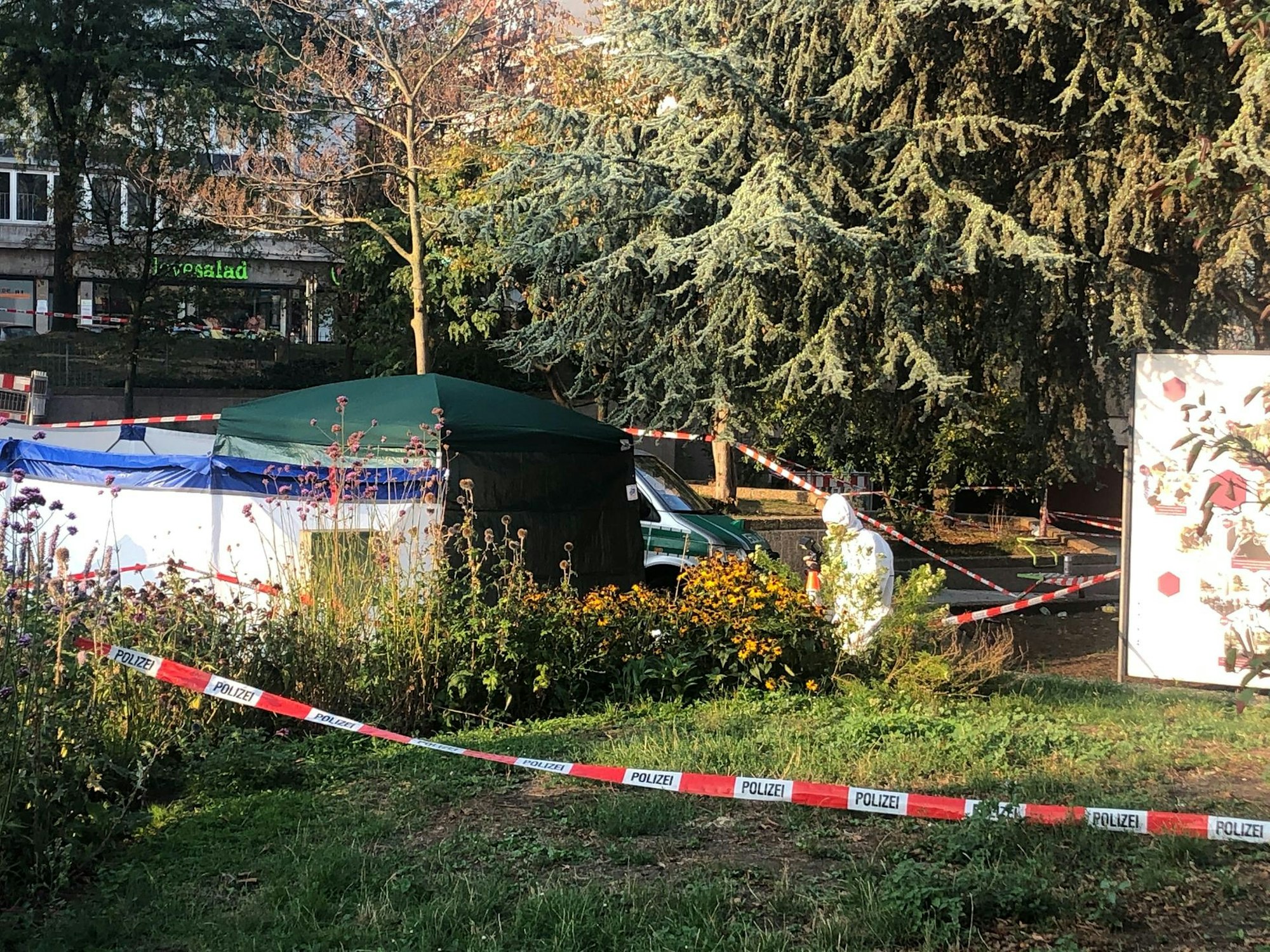 Ebertplatz Gebüsch Tötungsdelikt