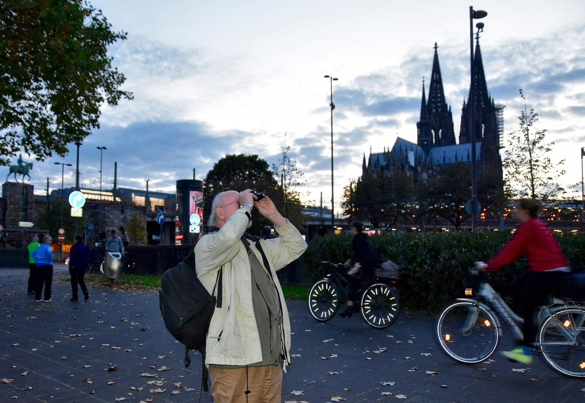 18102017_AR_Papageien - 16
