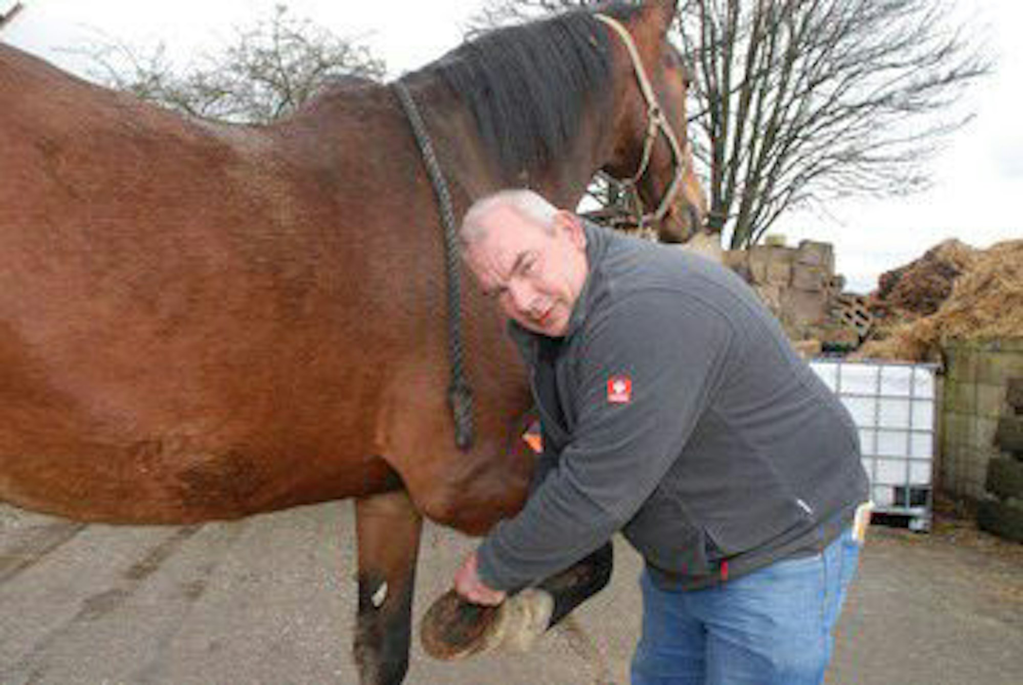 01SOKP38_71-130136242_ori