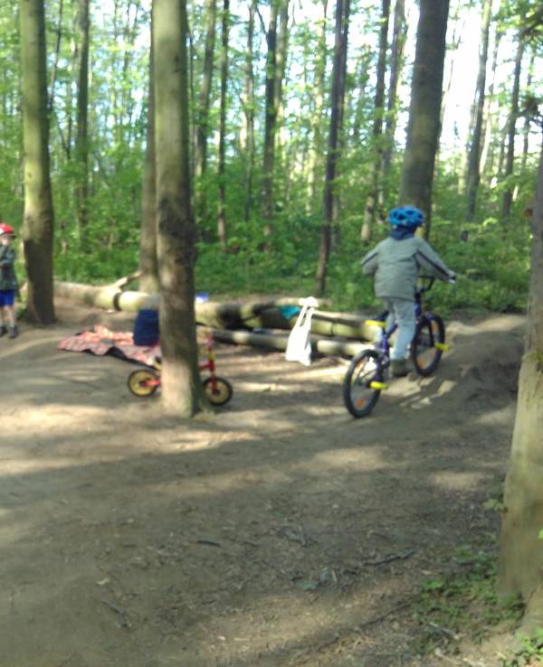 sues Action Strecke 3 Foto Zingsheim (1)
