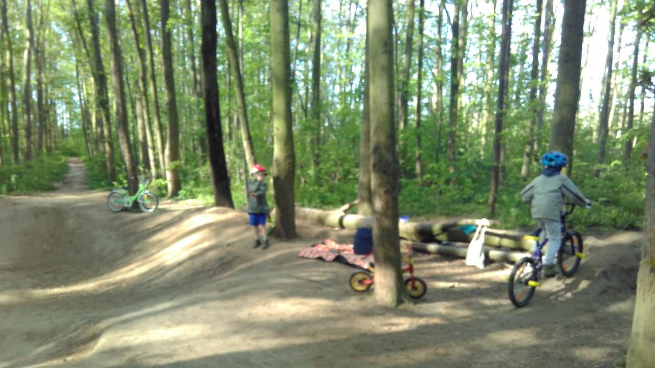 sues Action Strecke 3 Foto Zingsheim (1)
