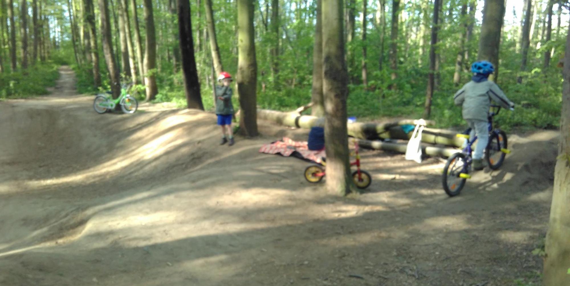 sues Action Strecke 3 Foto Zingsheim (1)