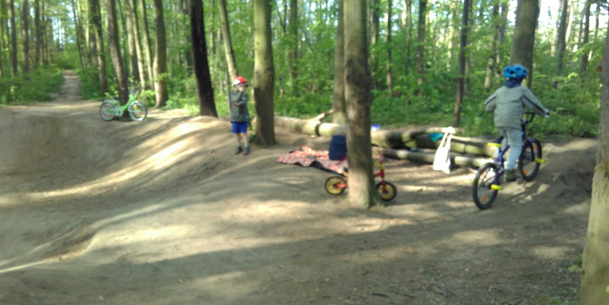 sues Action Strecke 3 Foto Zingsheim (1)