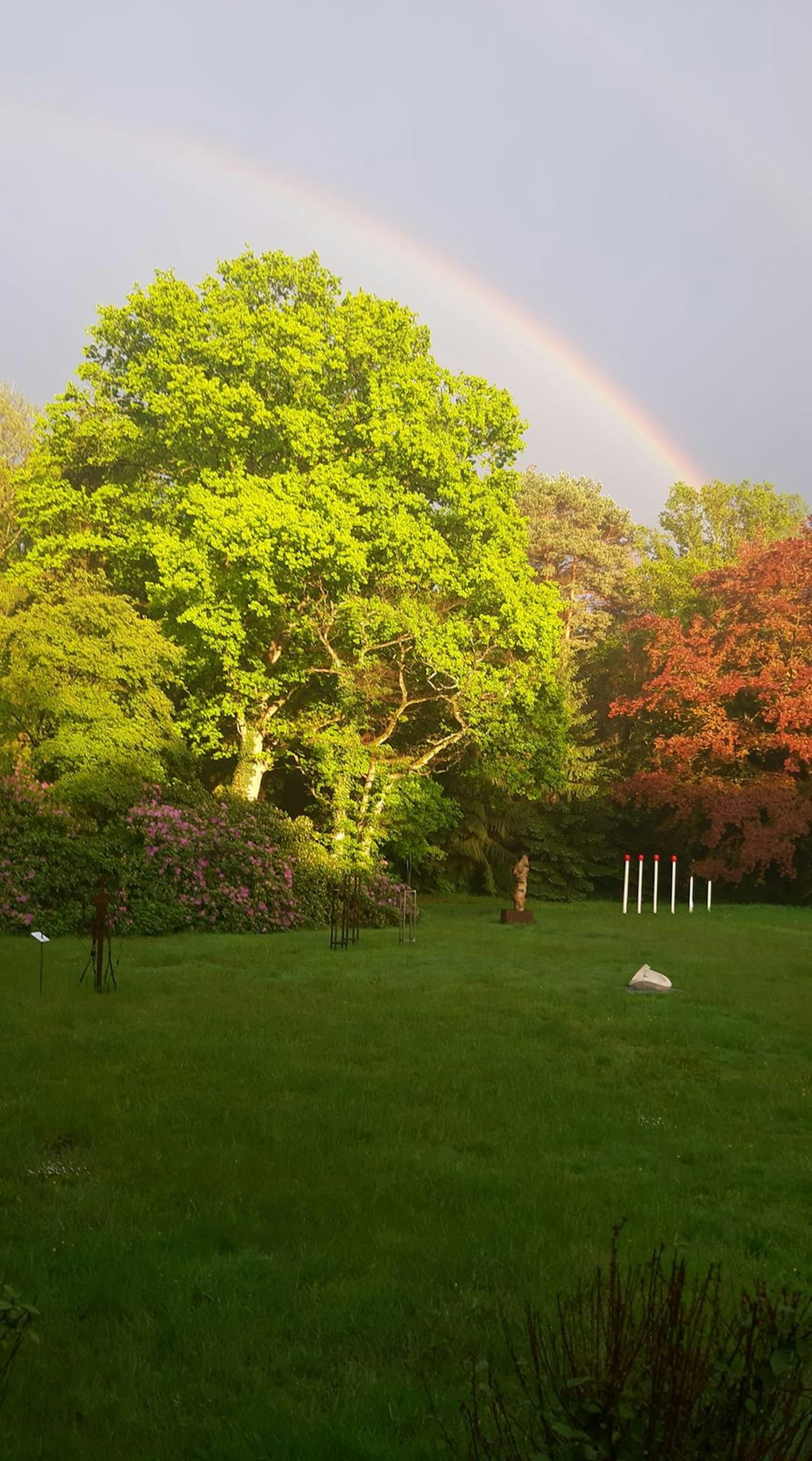 187025647_2872902712948490_8313617565625873357_n