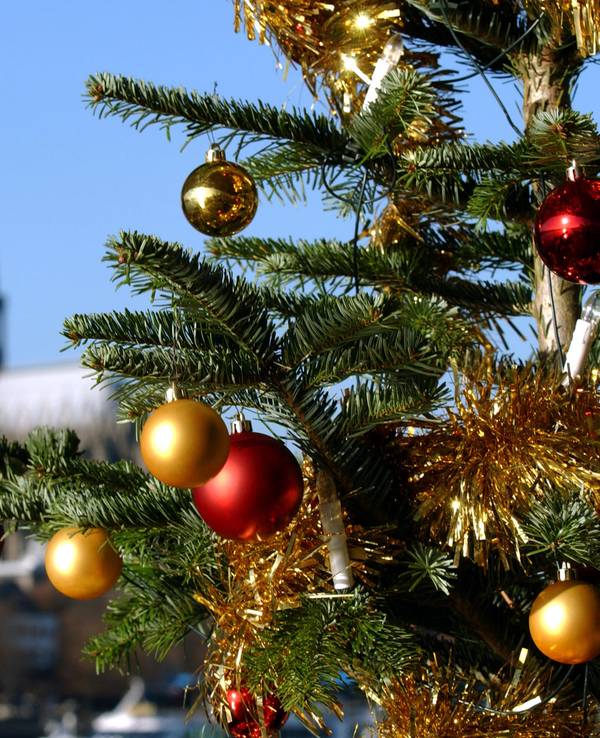 Ein Weihnachtsbaum vor dem Kölner Dom