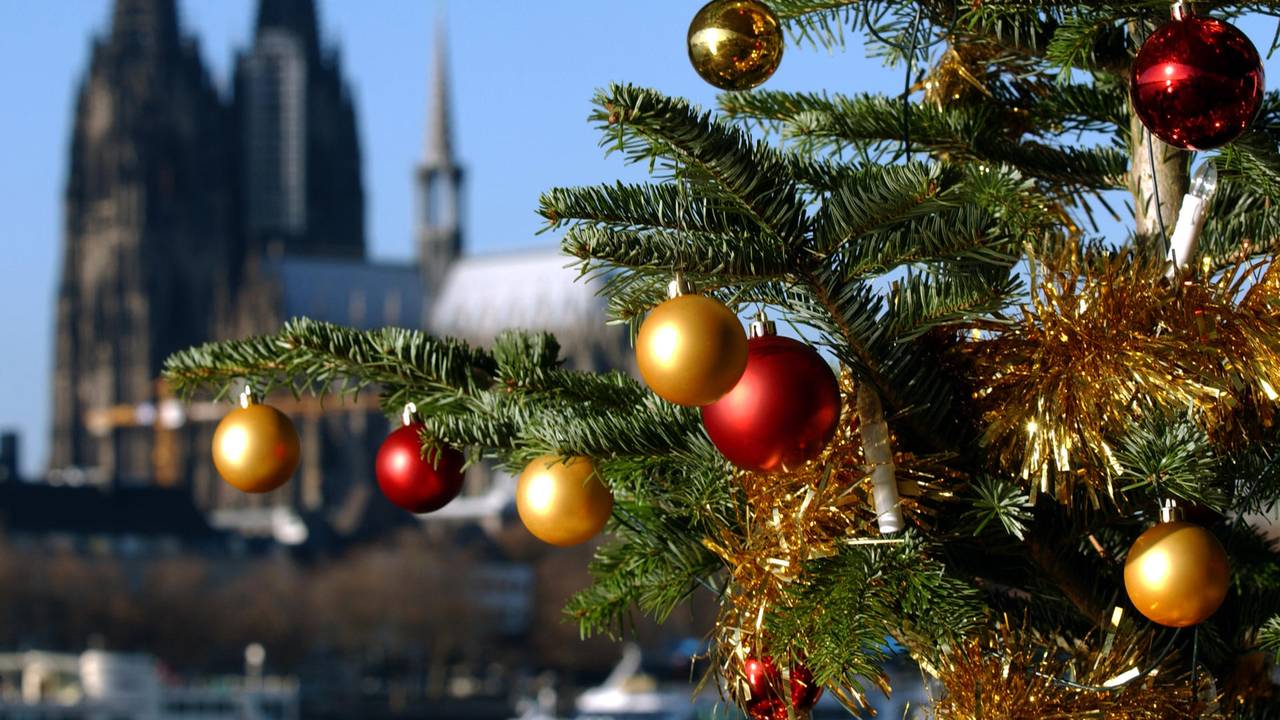 Ein Weihnachtsbaum vor dem Kölner Dom
