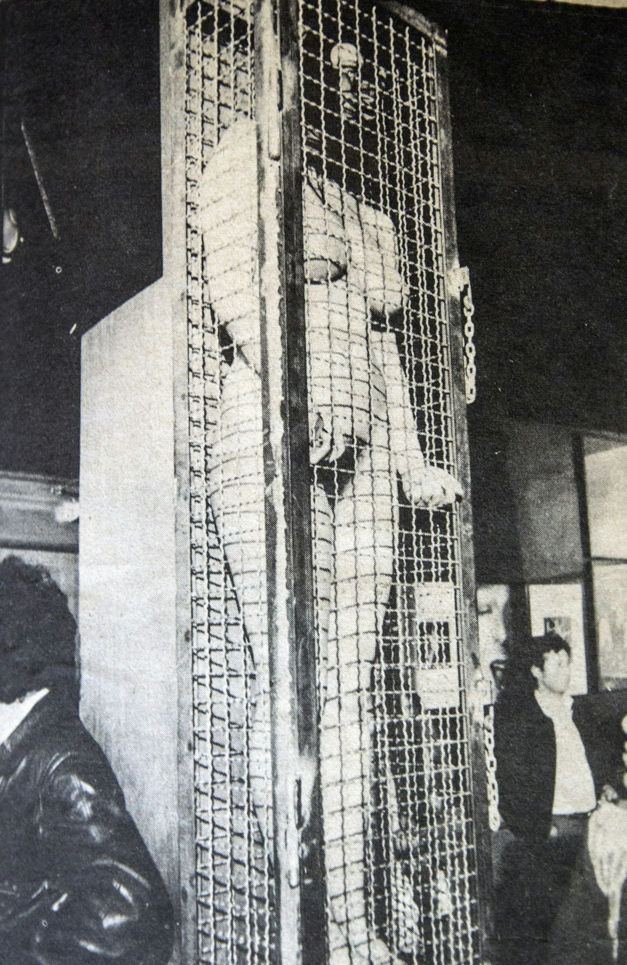 01K___22_71-97448270_ori