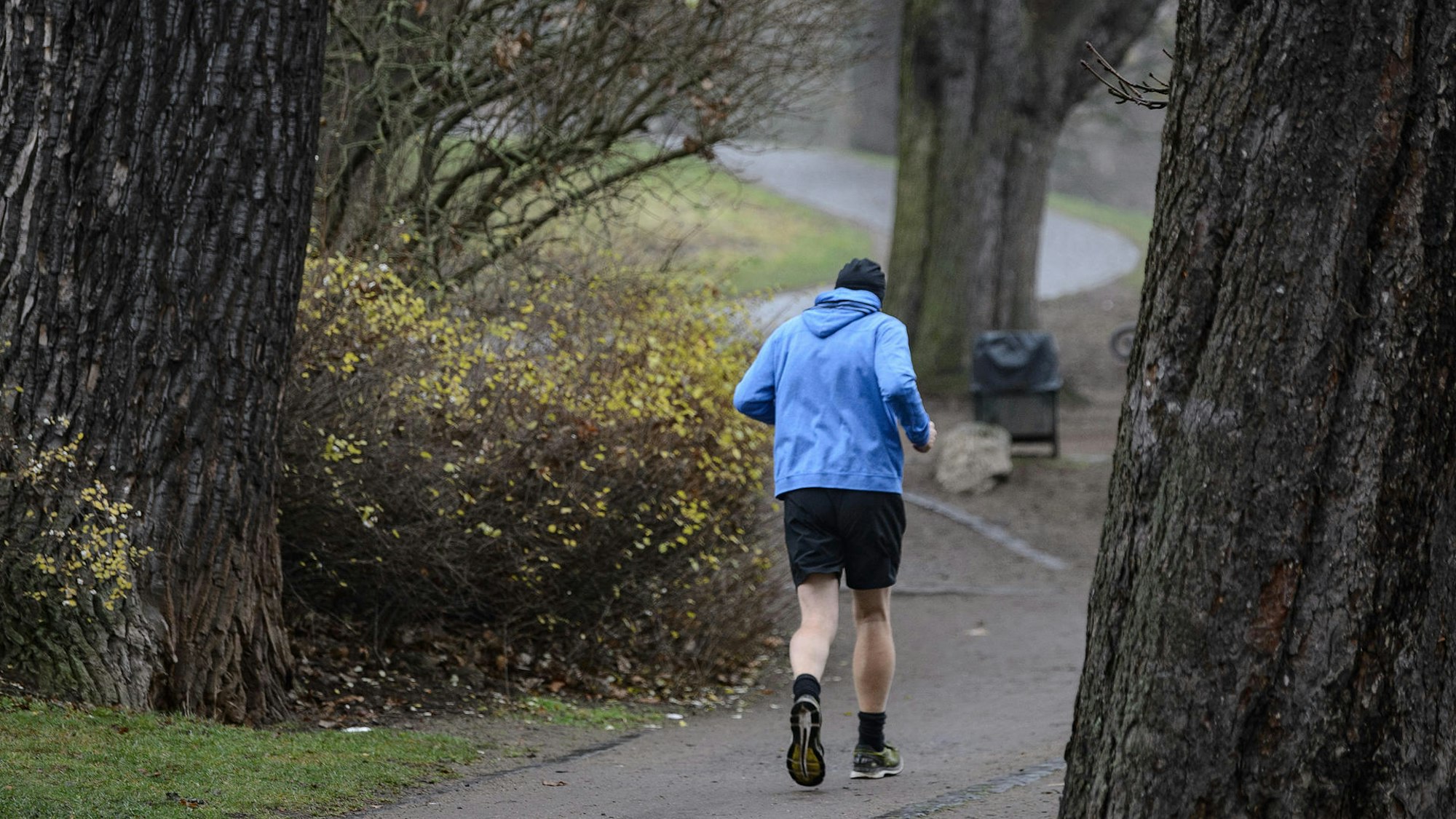 Ein Jogger läuft durch einen Park.
