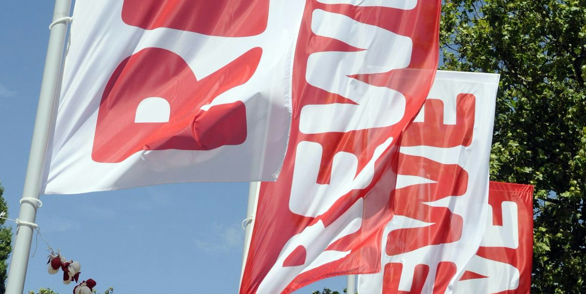 Neuer Inhalt (3)