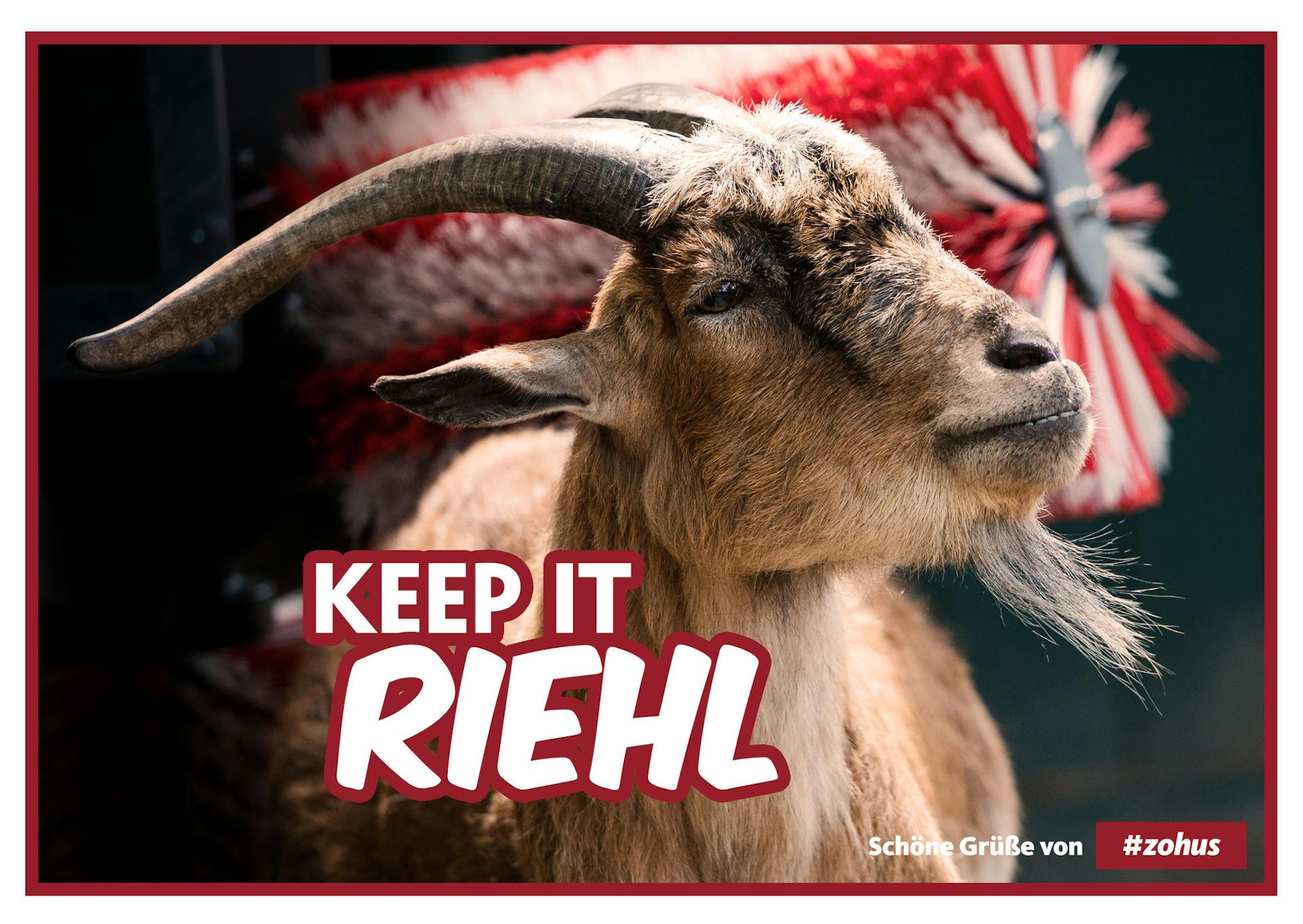 GAG Immobilien AG_Veedelspostkarte Riehl