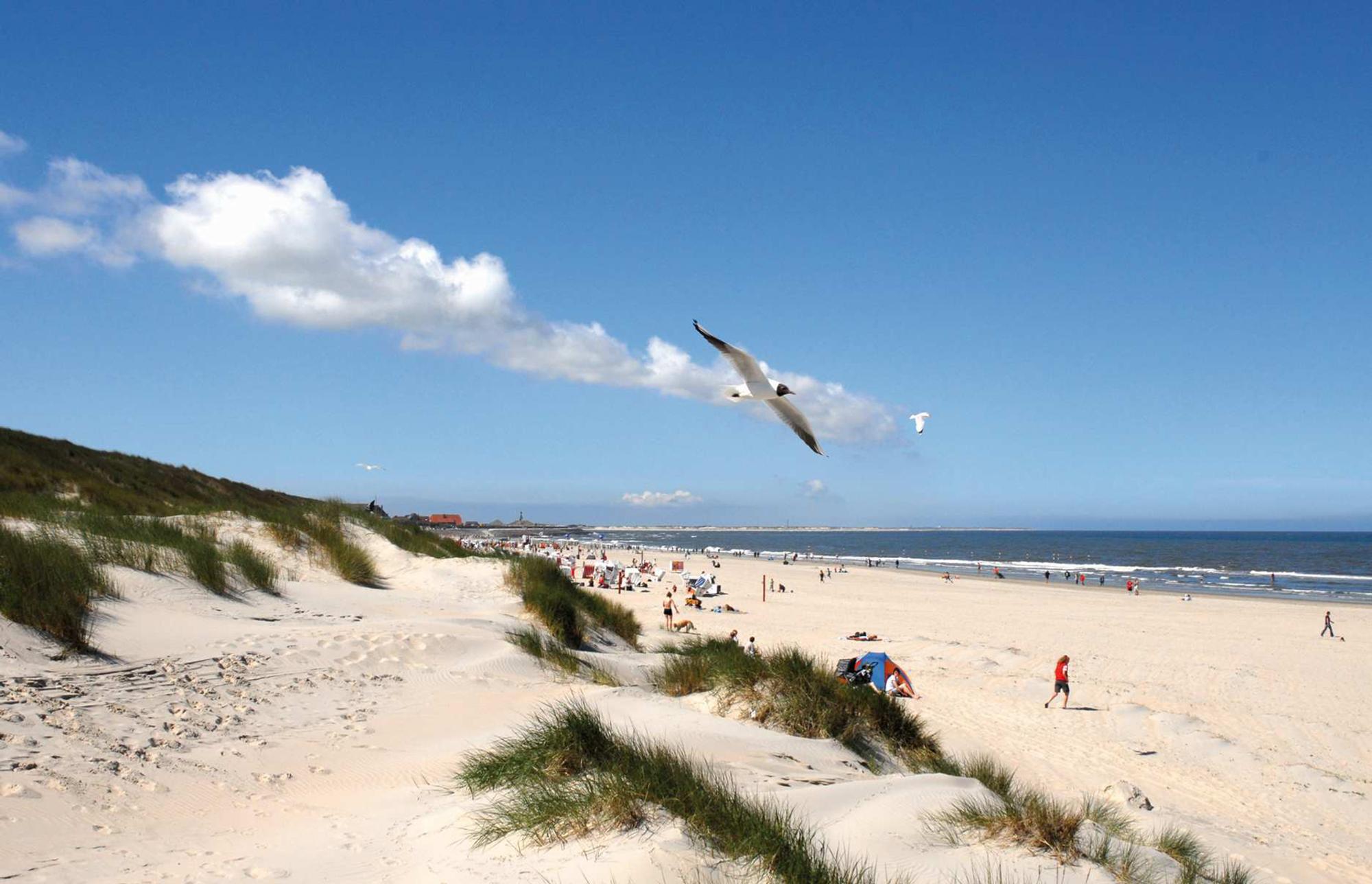 nordsee_insel_dpa (8)