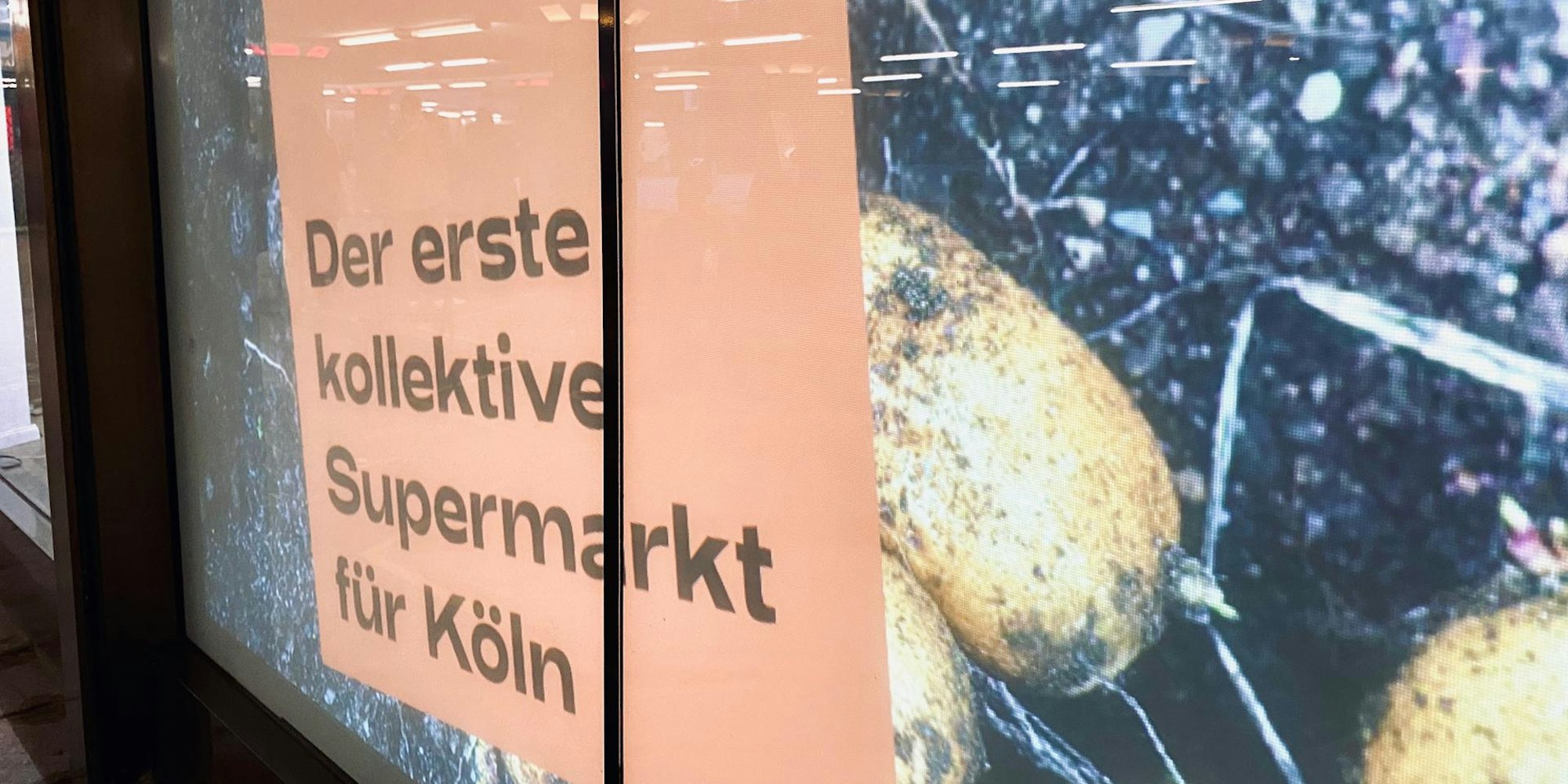 Neuer Inhalt (1)