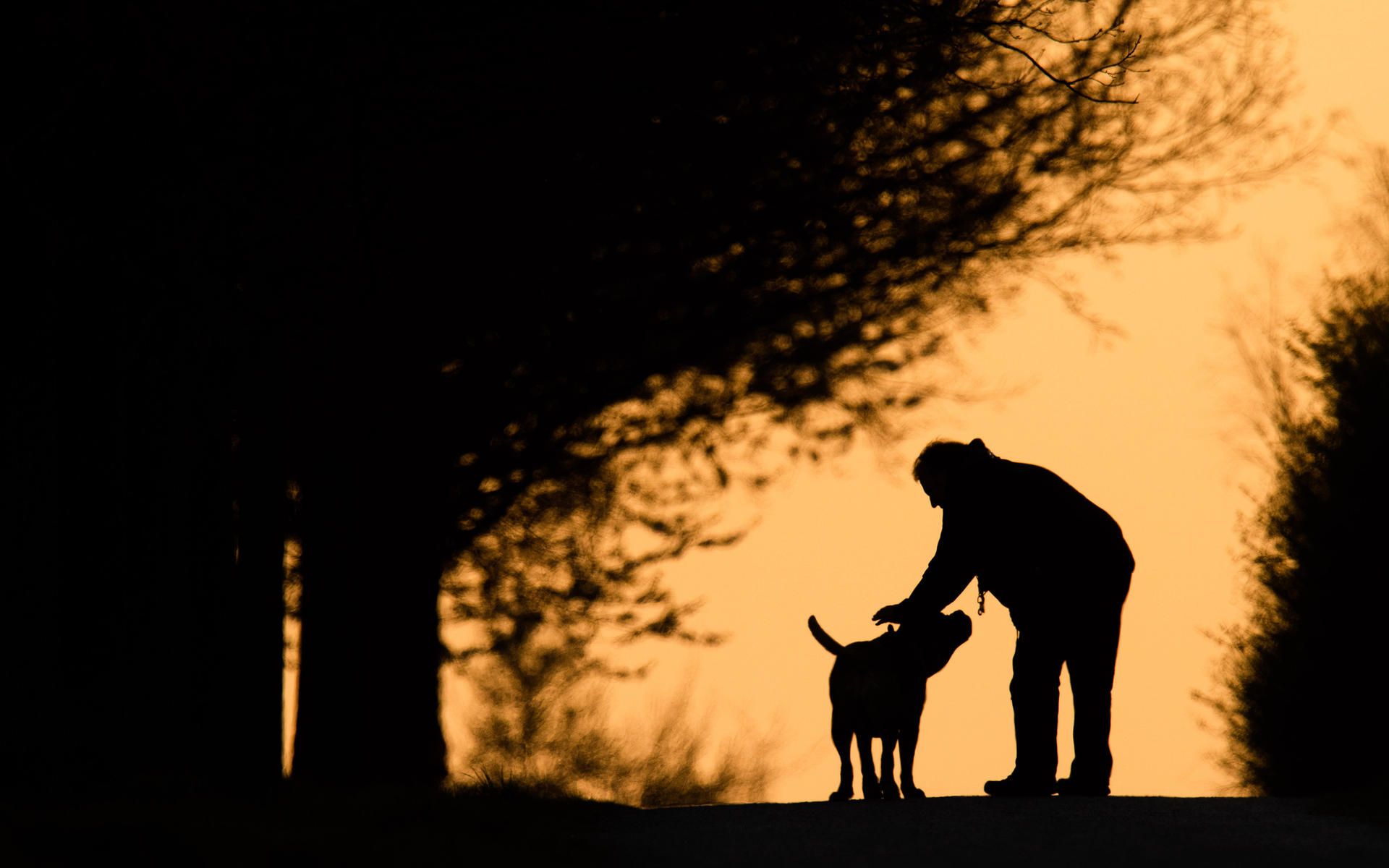 Hund_Gassi_Symbol