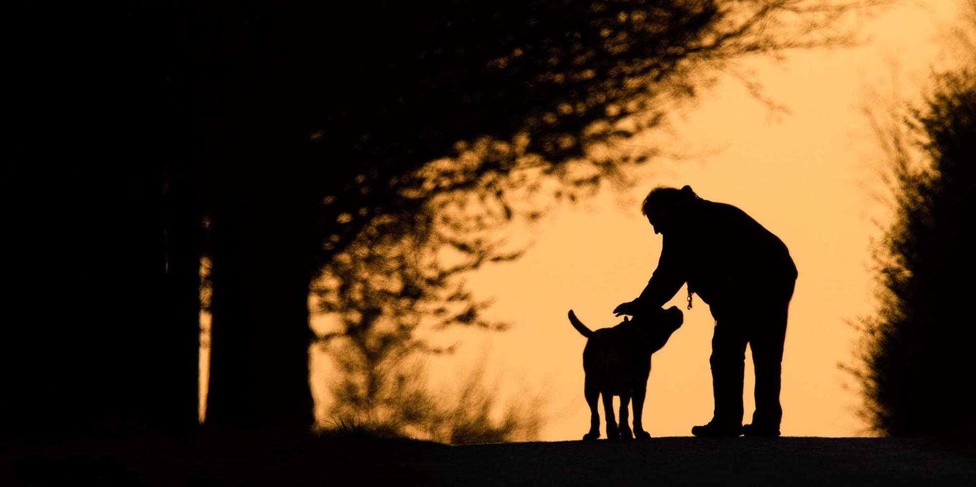 Hund_Gassi_Symbol