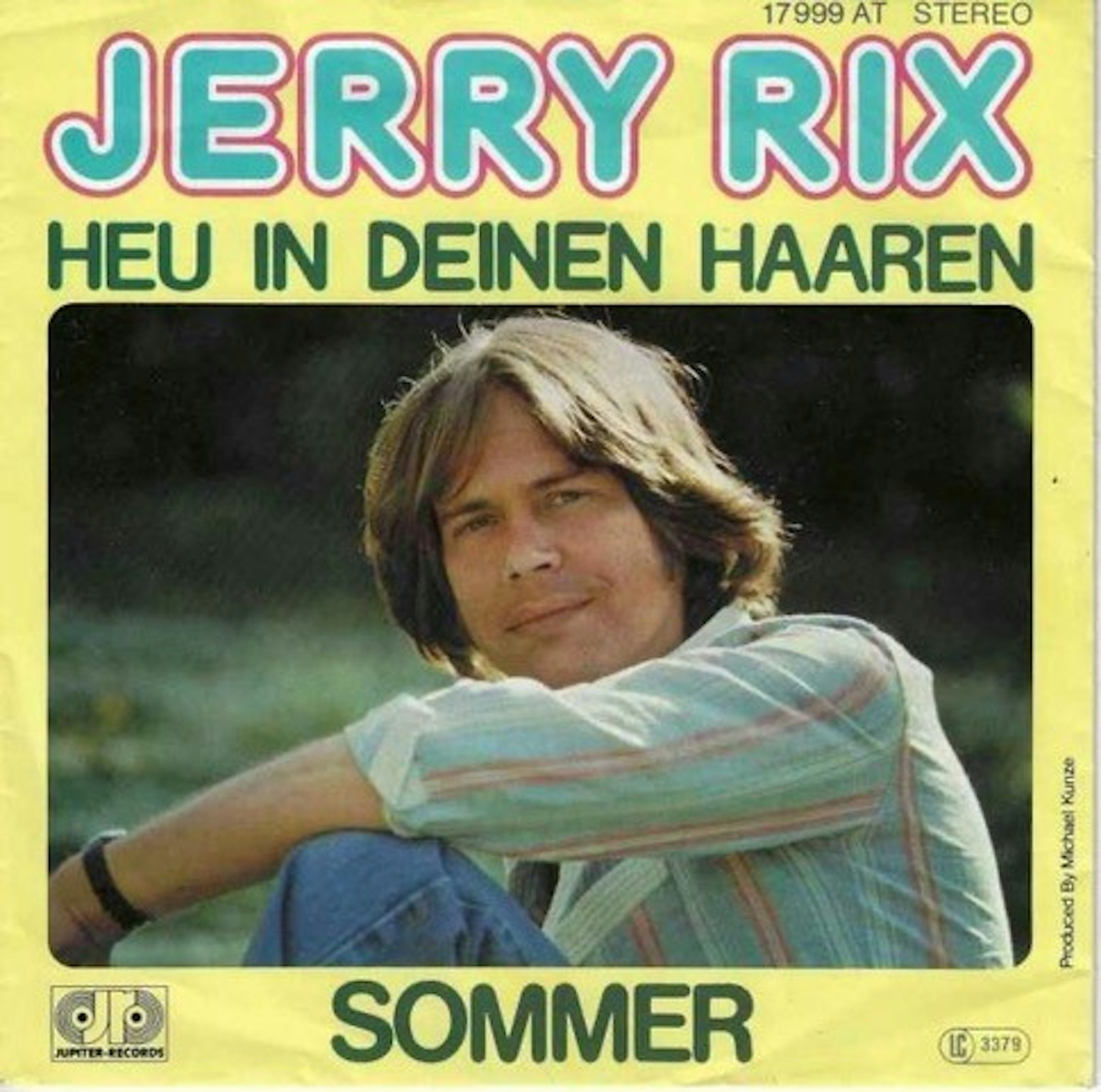 Cover Heu in den Haaren