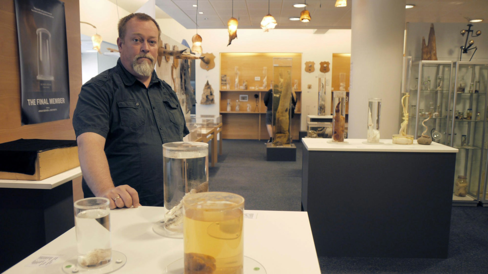 Das Phallusmuseum in Reykjavik.