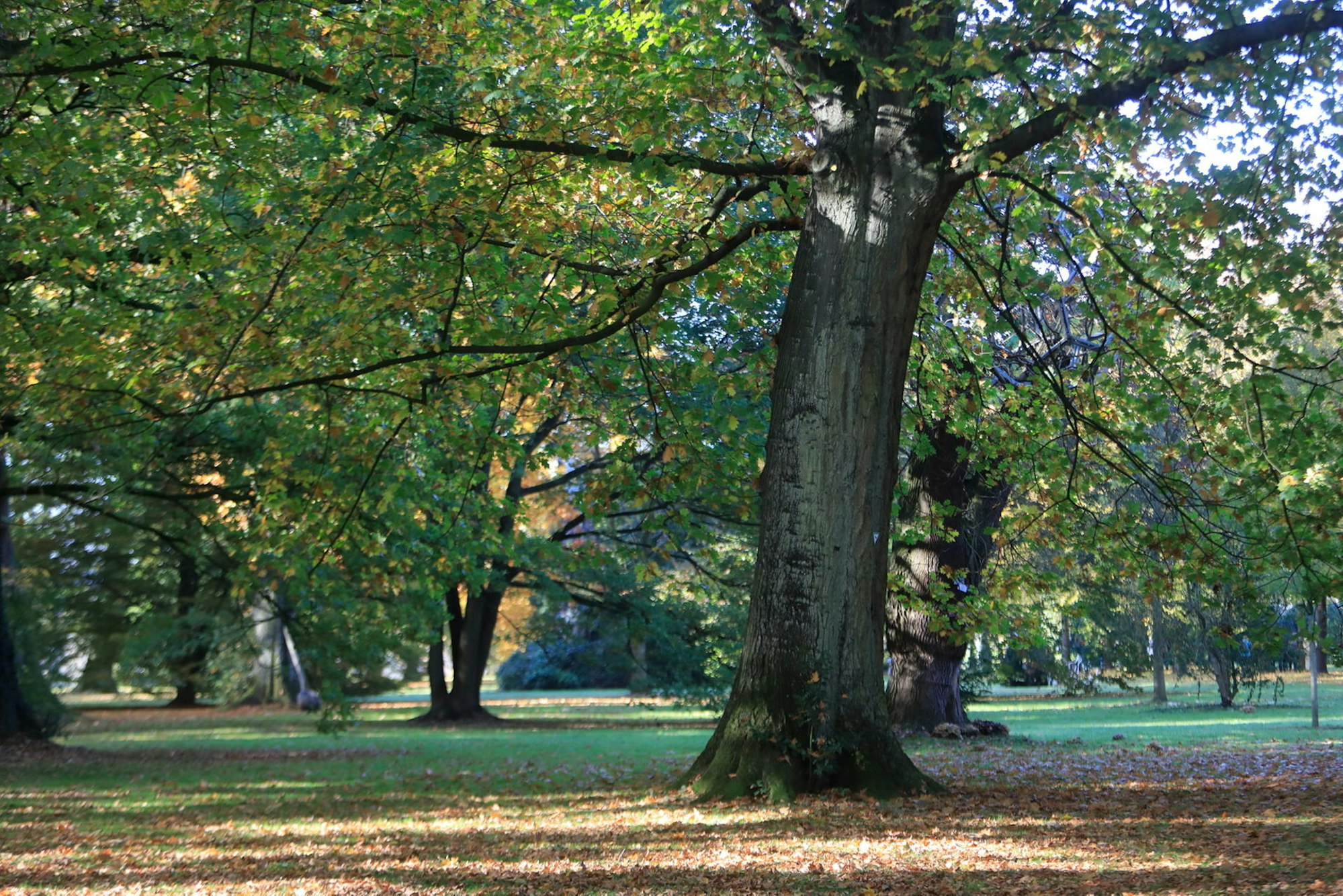 stammheim