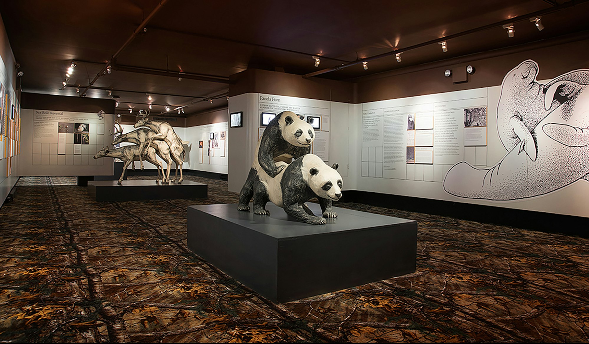 Das Museum of Sex in New York.