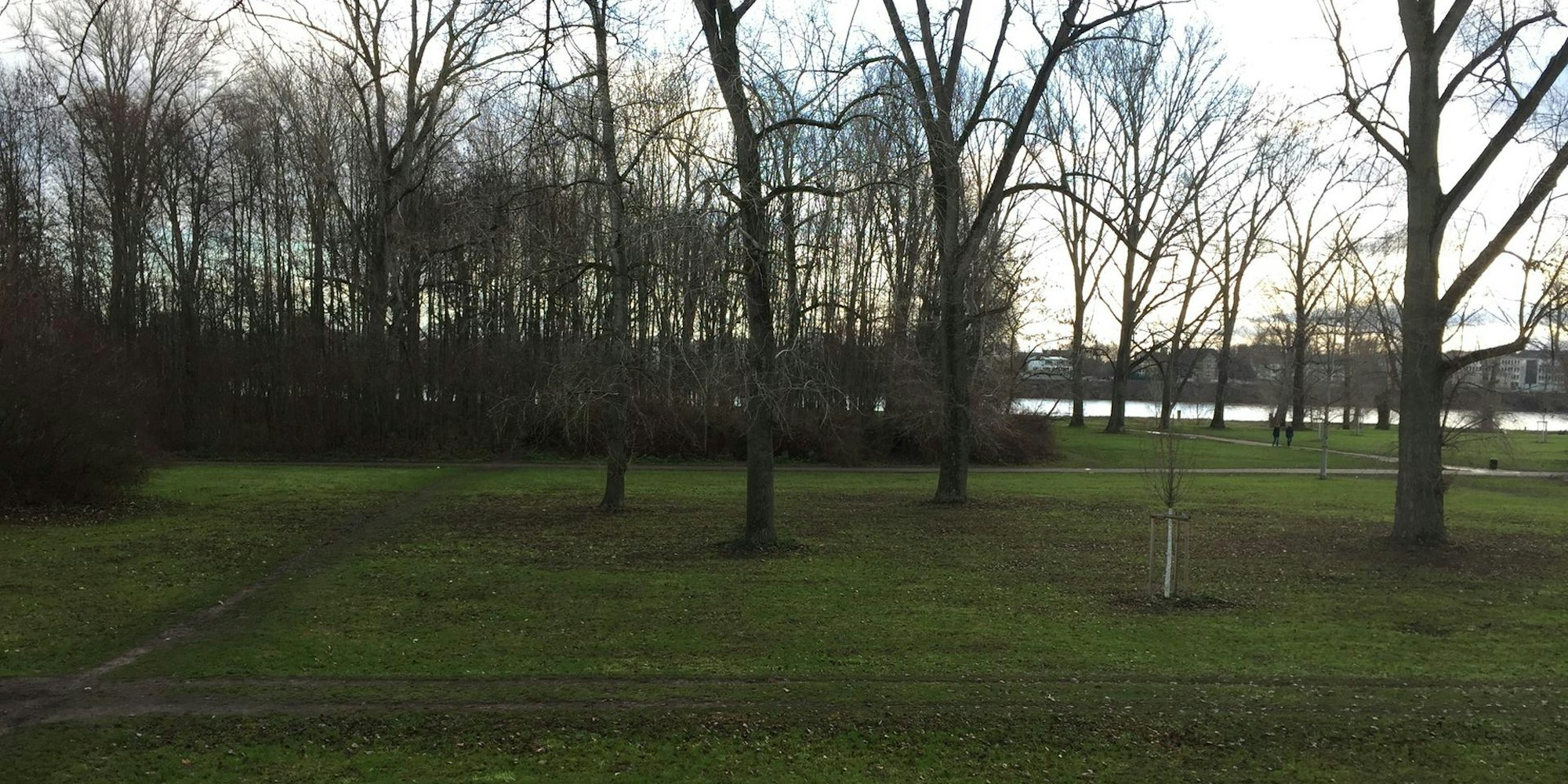 cranachwäldchen_riehl