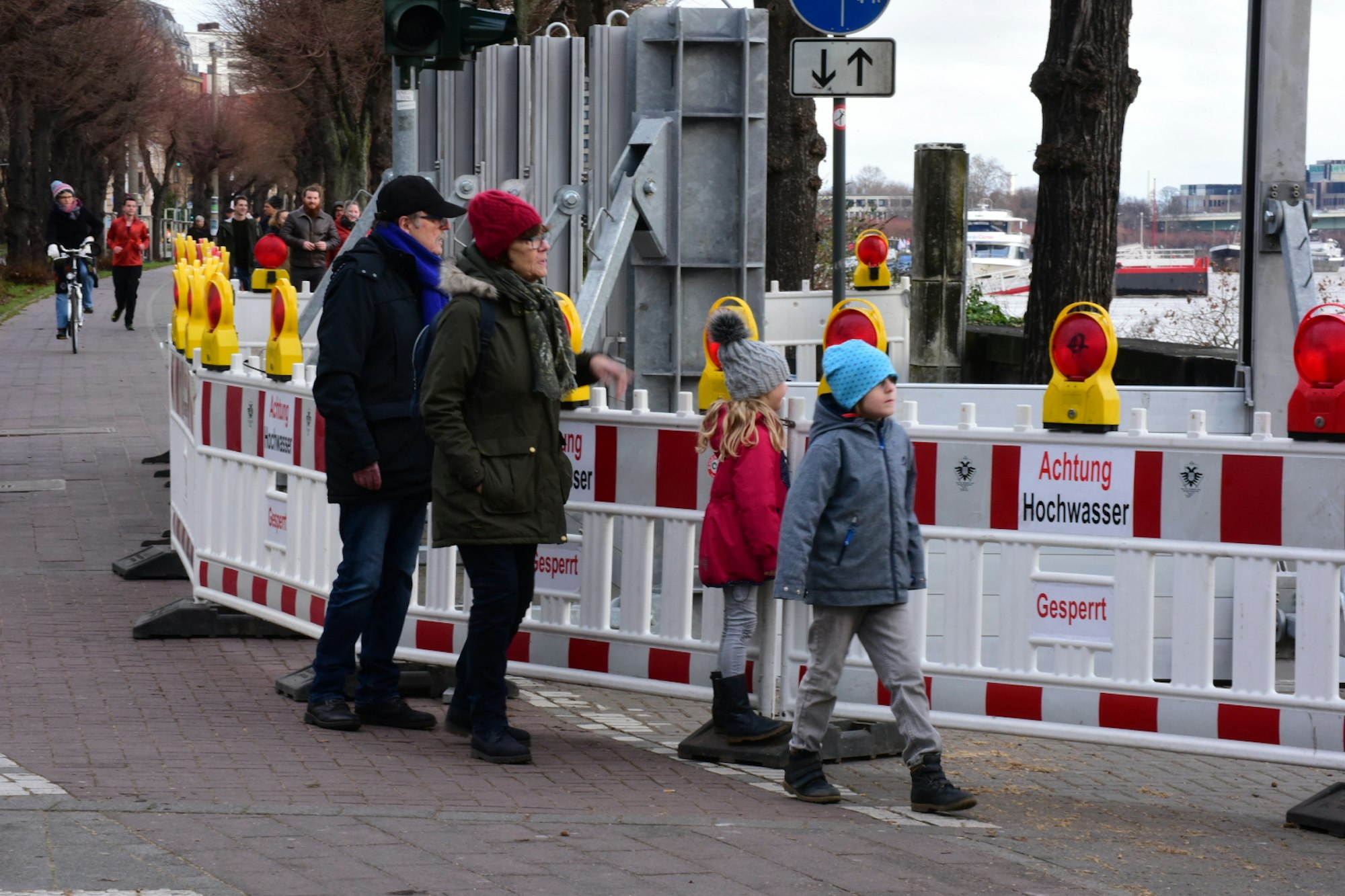 DSC_0264