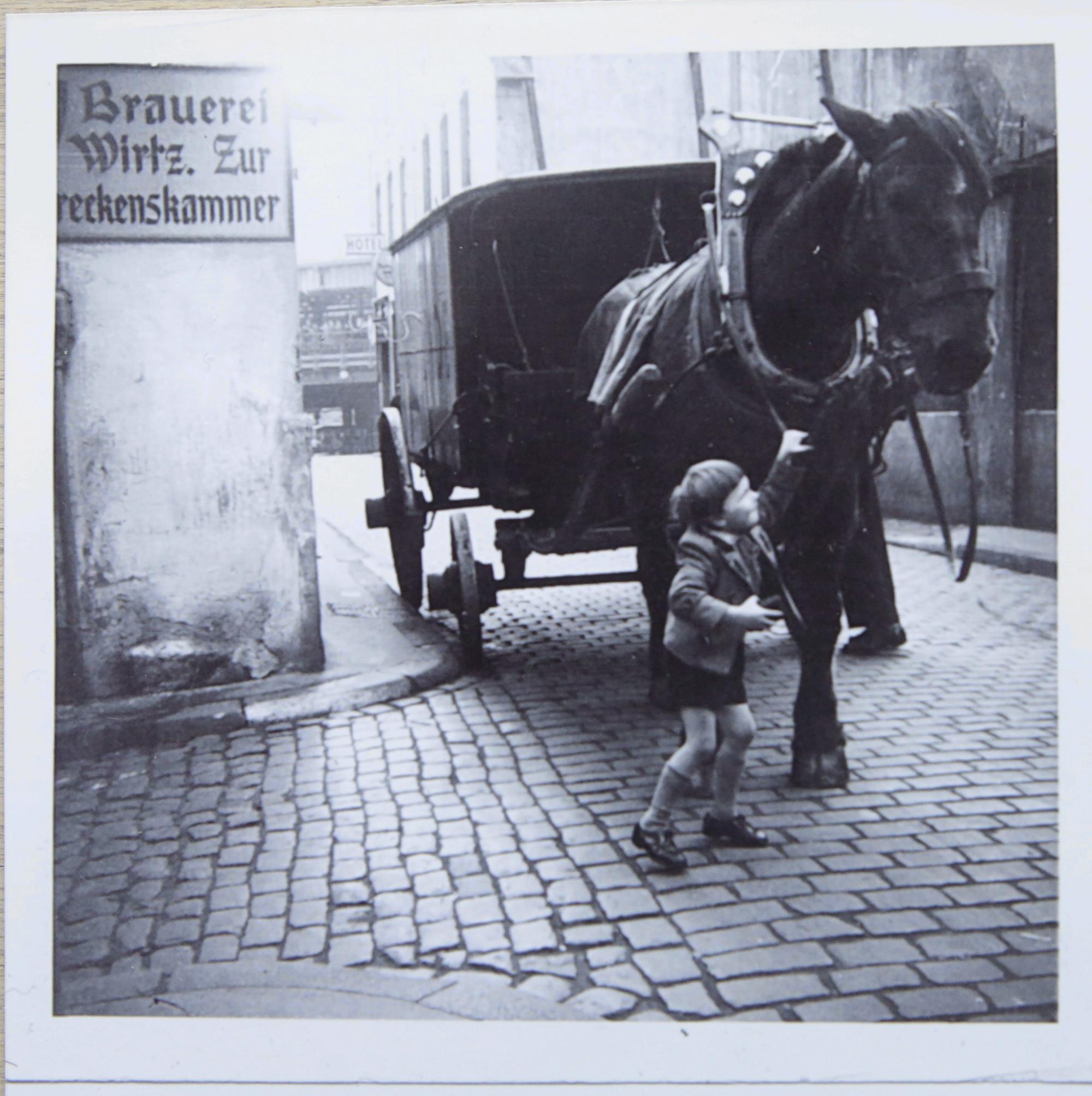 Neuer Inhalt (1)
