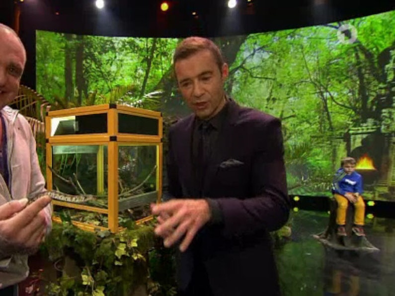 01K 10_71-93869921_ori