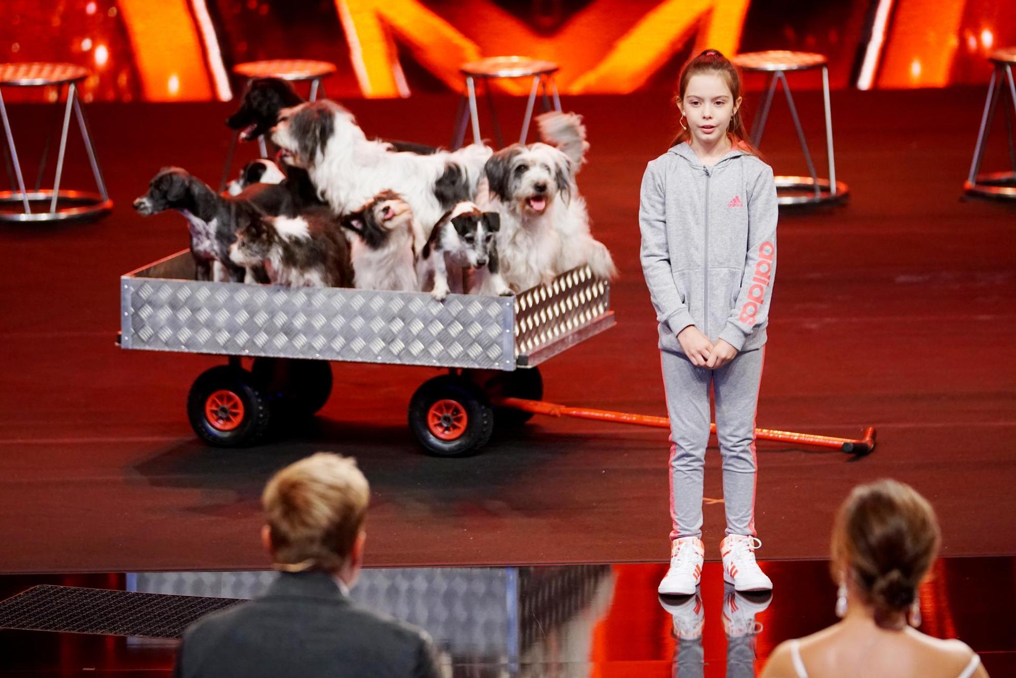 Supertalent Alexa Lauenburger Hunde 1