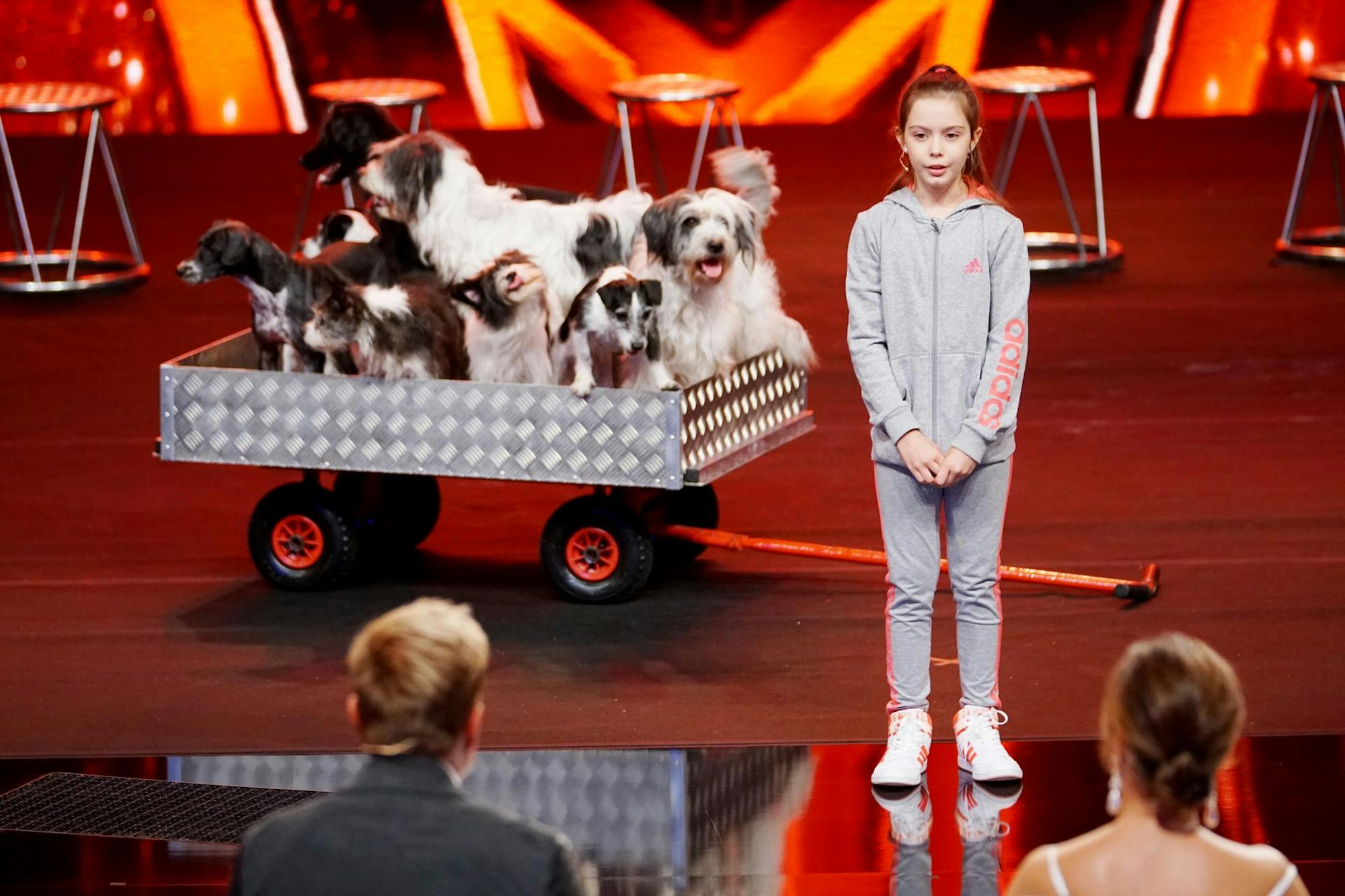 Supertalent Alexa Lauenburger Hunde 1