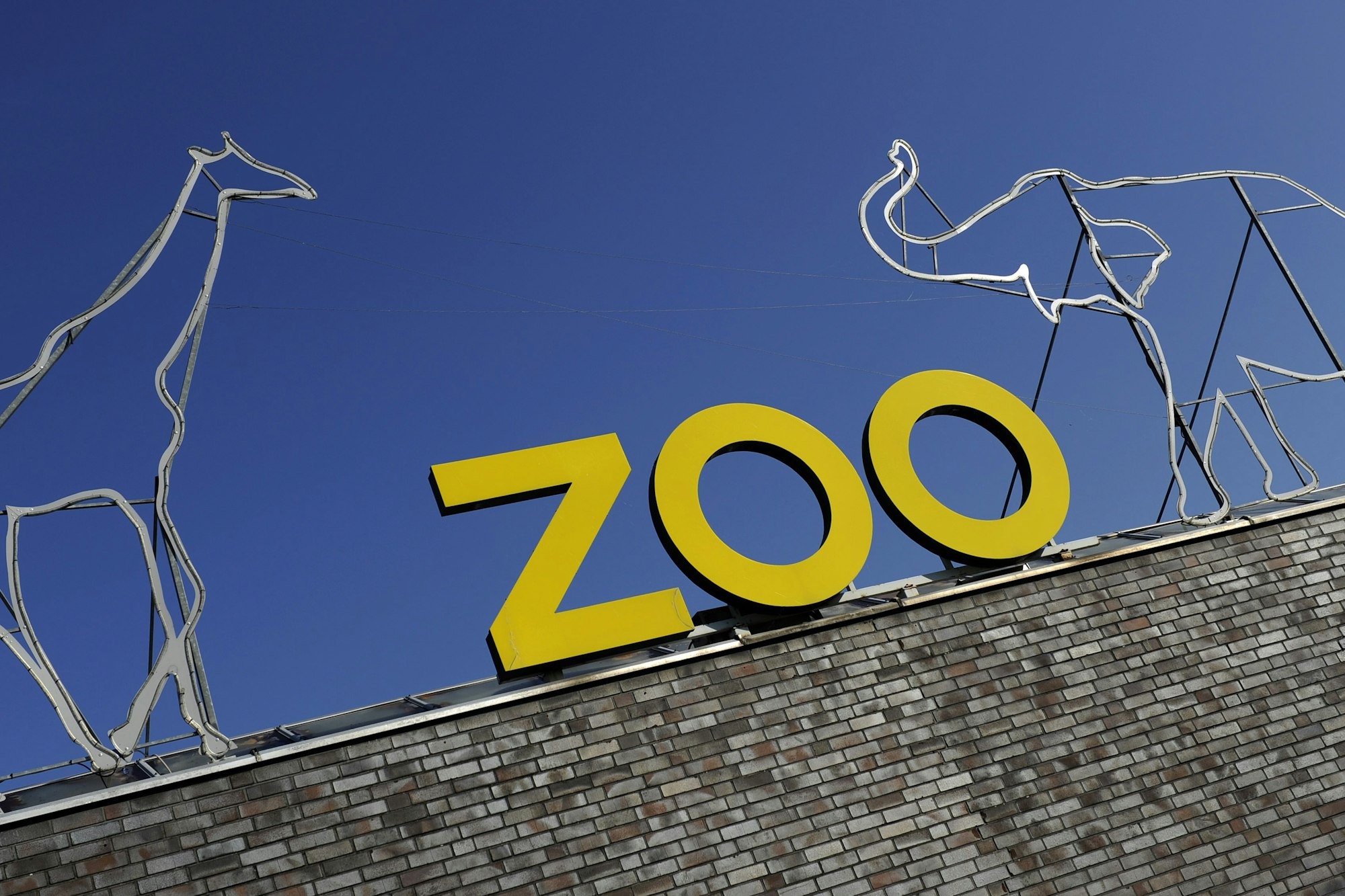 01K___32_71-109530592_ori