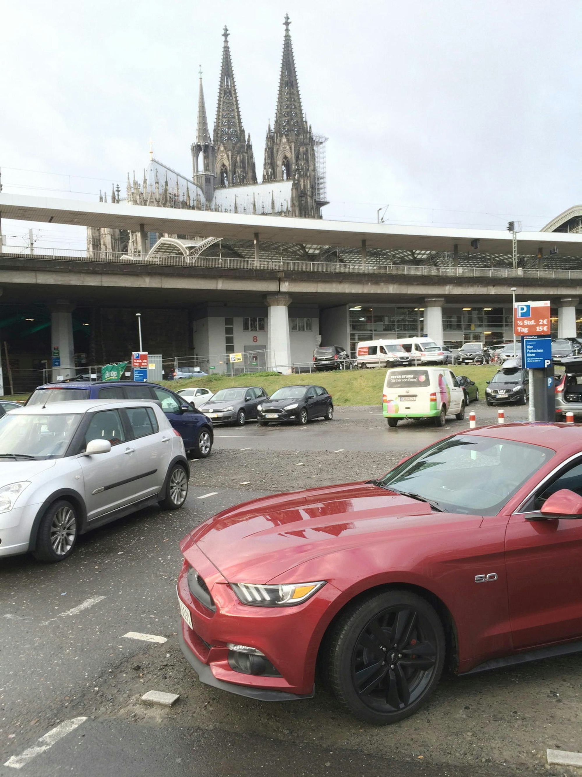 20161220_MW_Mustang 04