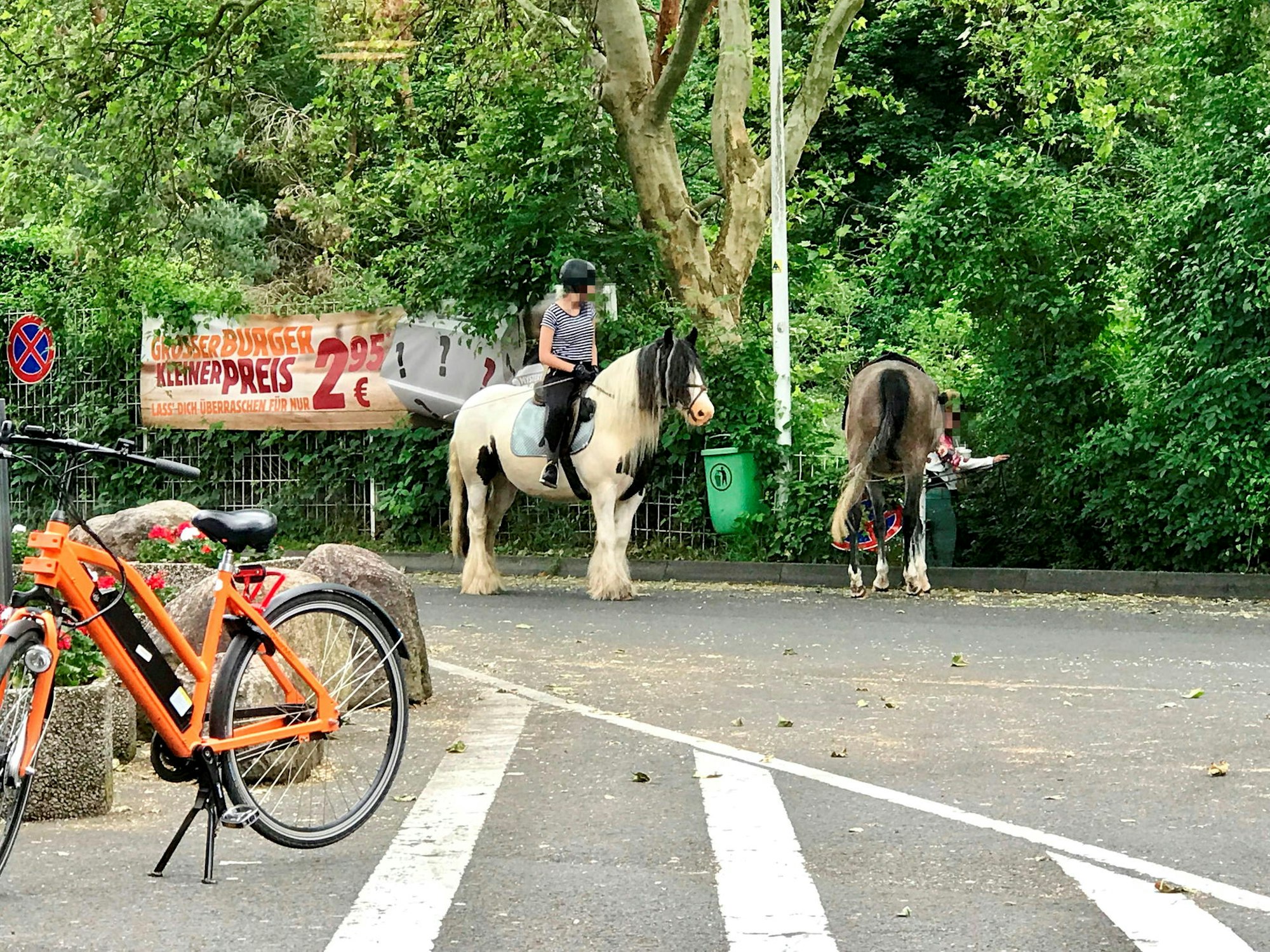 pferd